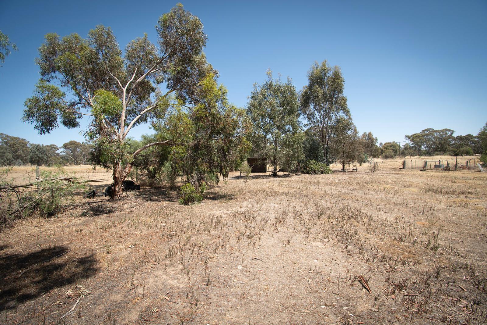 Land: 585 Timor Road, Bowenvale, VIC, 3465 photo-7