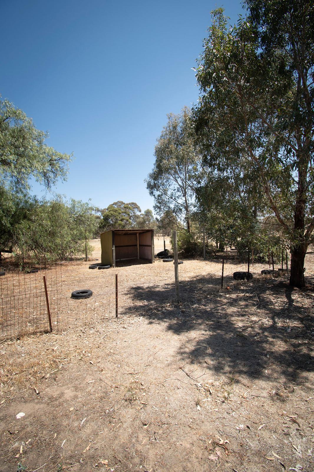 Land: 585 Timor Road, Bowenvale, VIC, 3465 photo-3
