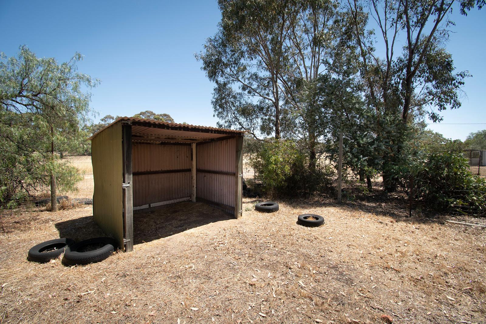 Land: 585 Timor Road, Bowenvale, VIC, 3465 photo-9