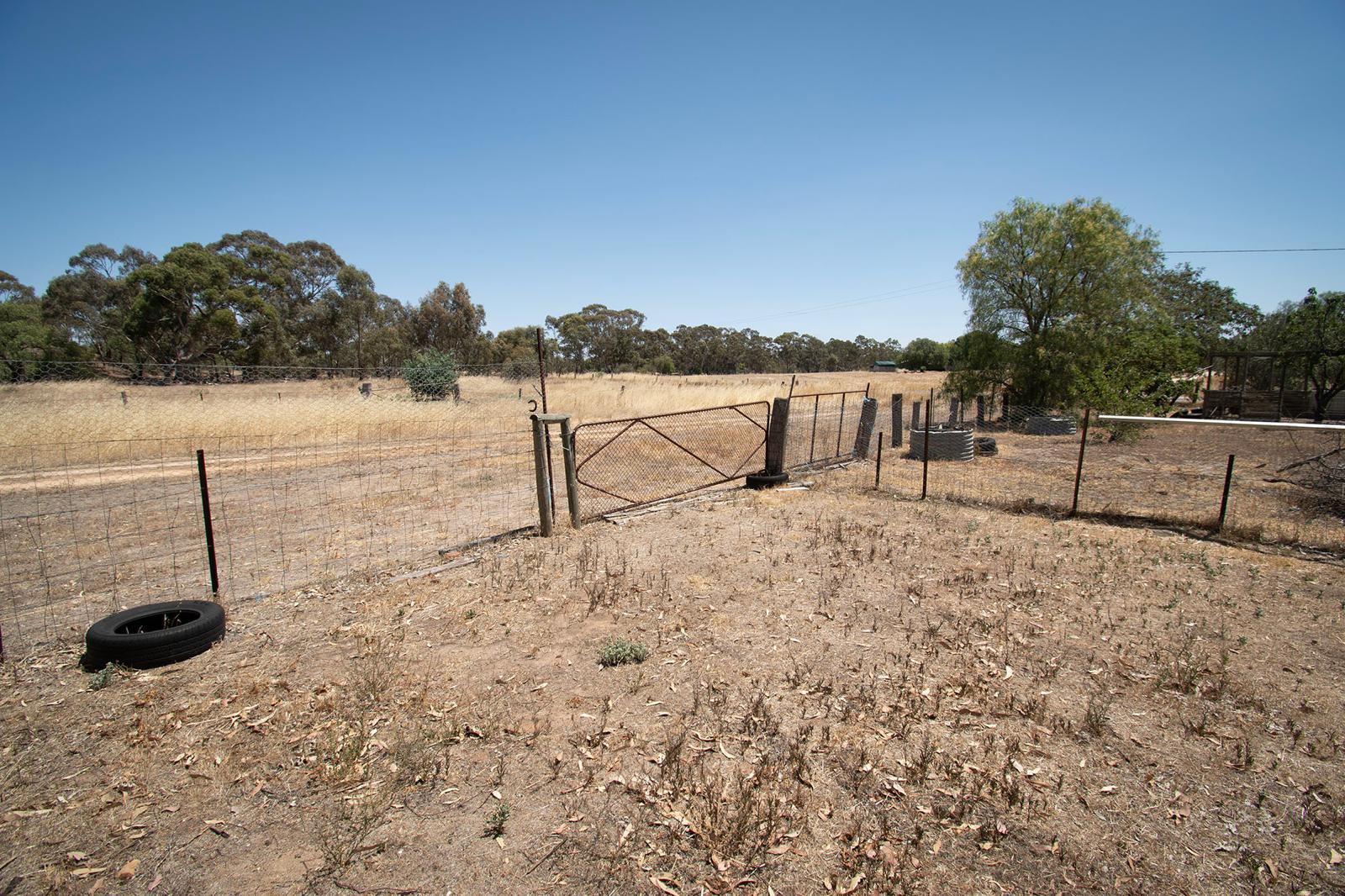 Land: 585 Timor Road, Bowenvale, VIC, 3465 photo-2