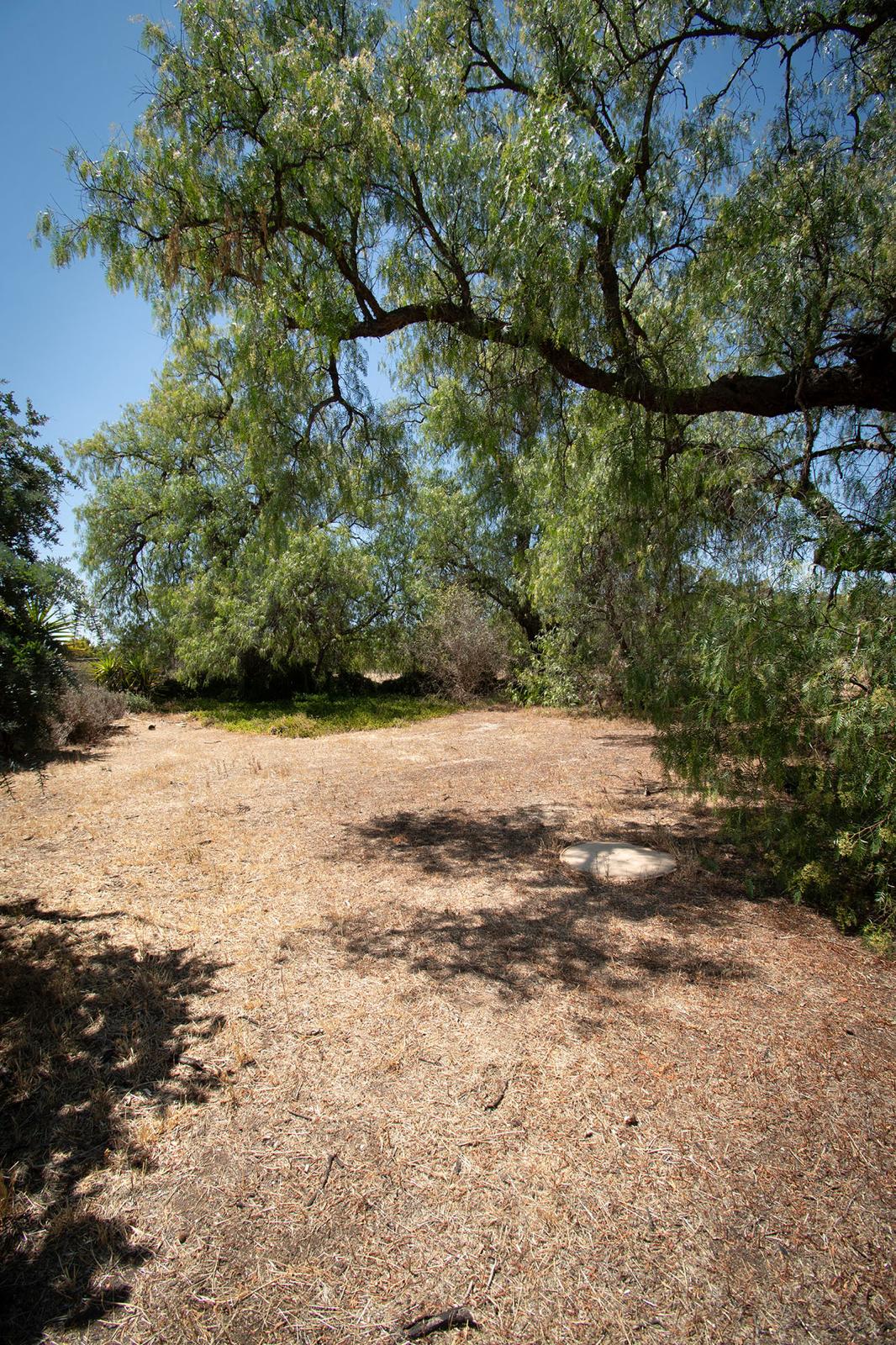 Land: 585 Timor Road, Bowenvale, VIC, 3465 photo-4