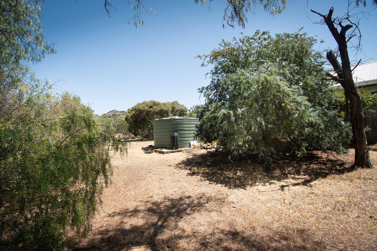 Land: 585 Timor Road, Bowenvale, VIC, 3465 photo-8