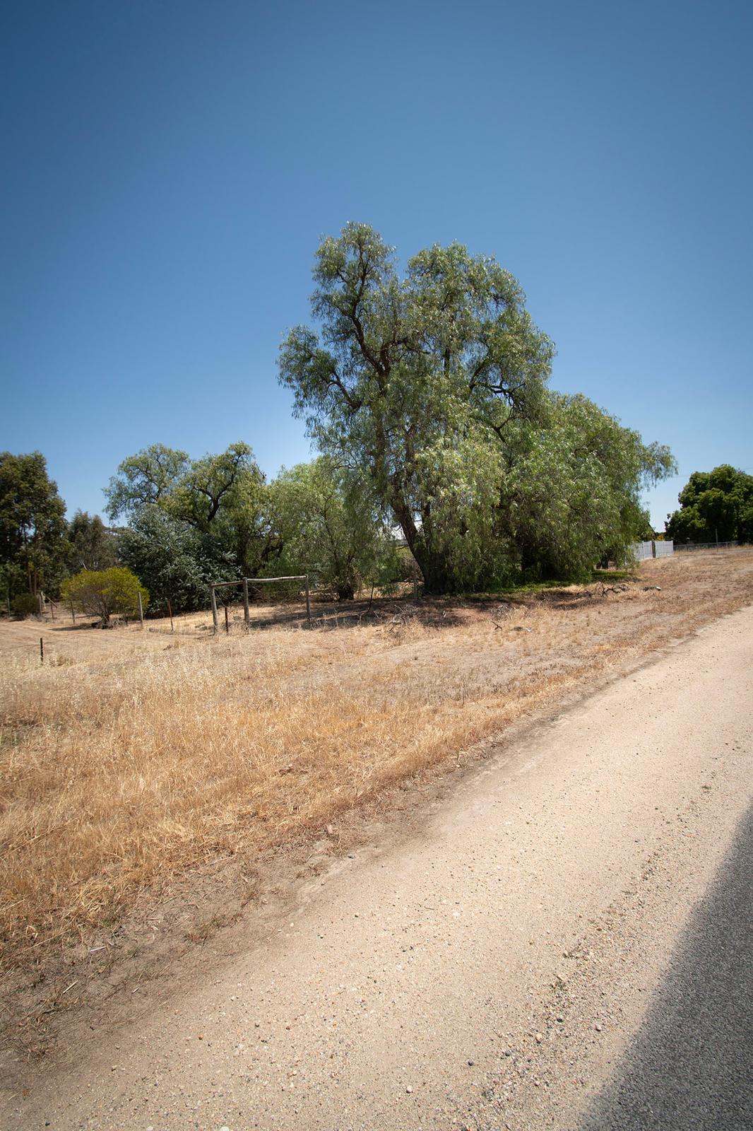 Land: 585 Timor Road, Bowenvale, VIC, 3465 photo-5