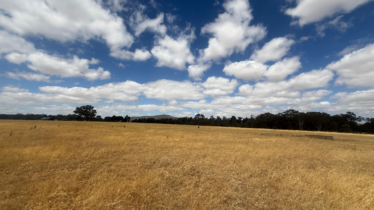 Land: Lot 1/3900 Ballarat - Maryborough Road, Clunes, VIC, 3370 photo-5