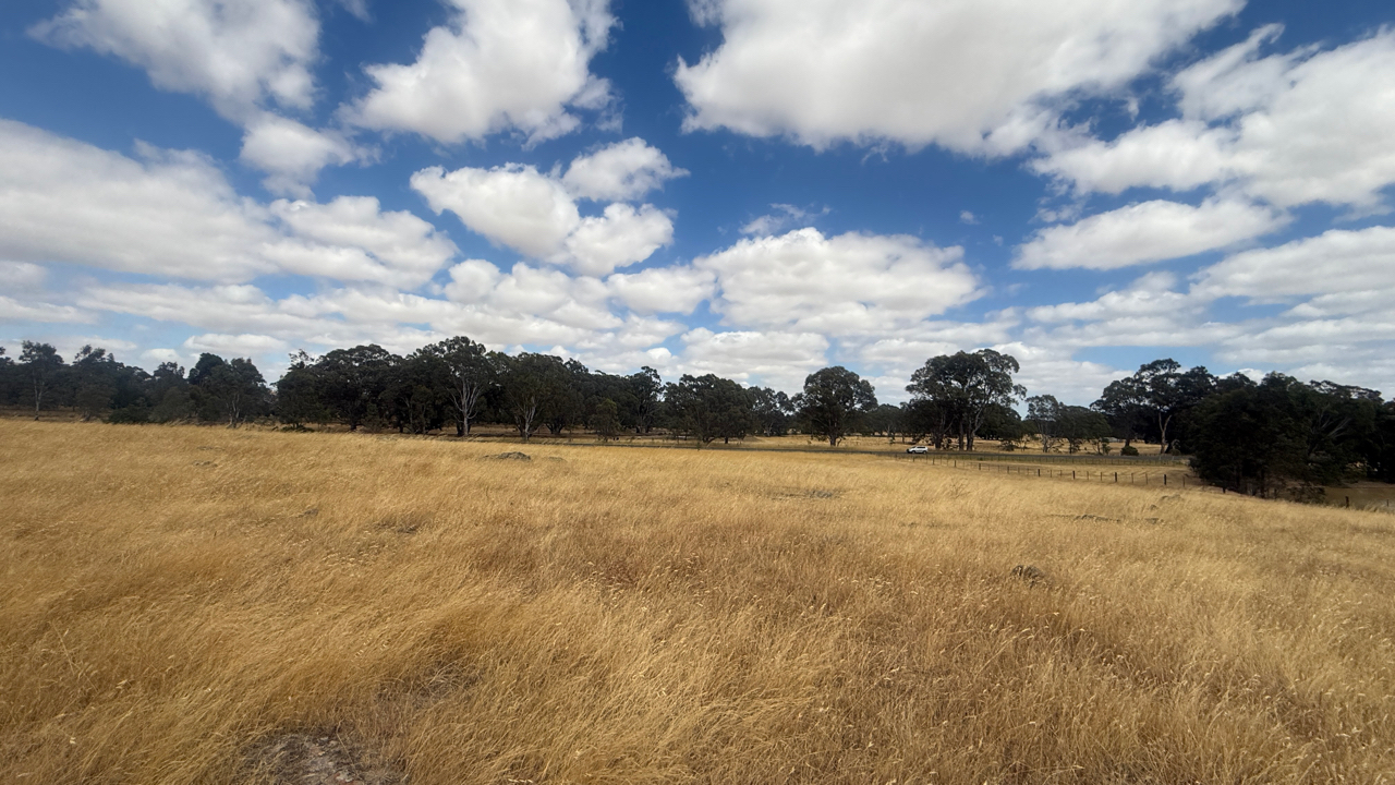 Land: Lot 1/3900 Ballarat - Maryborough Road, Clunes, VIC, 3370 photo-7
