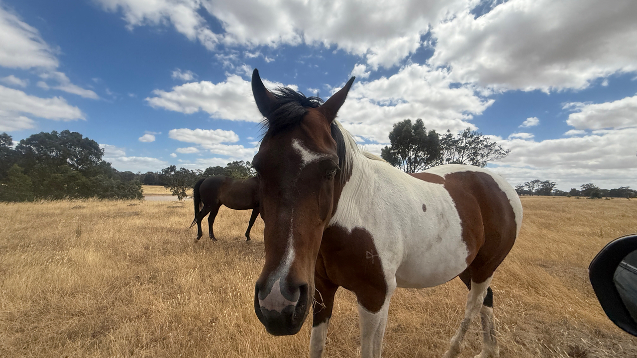 Land: Lot 1/3900 Ballarat - Maryborough Road, Clunes, VIC, 3370 photo-8