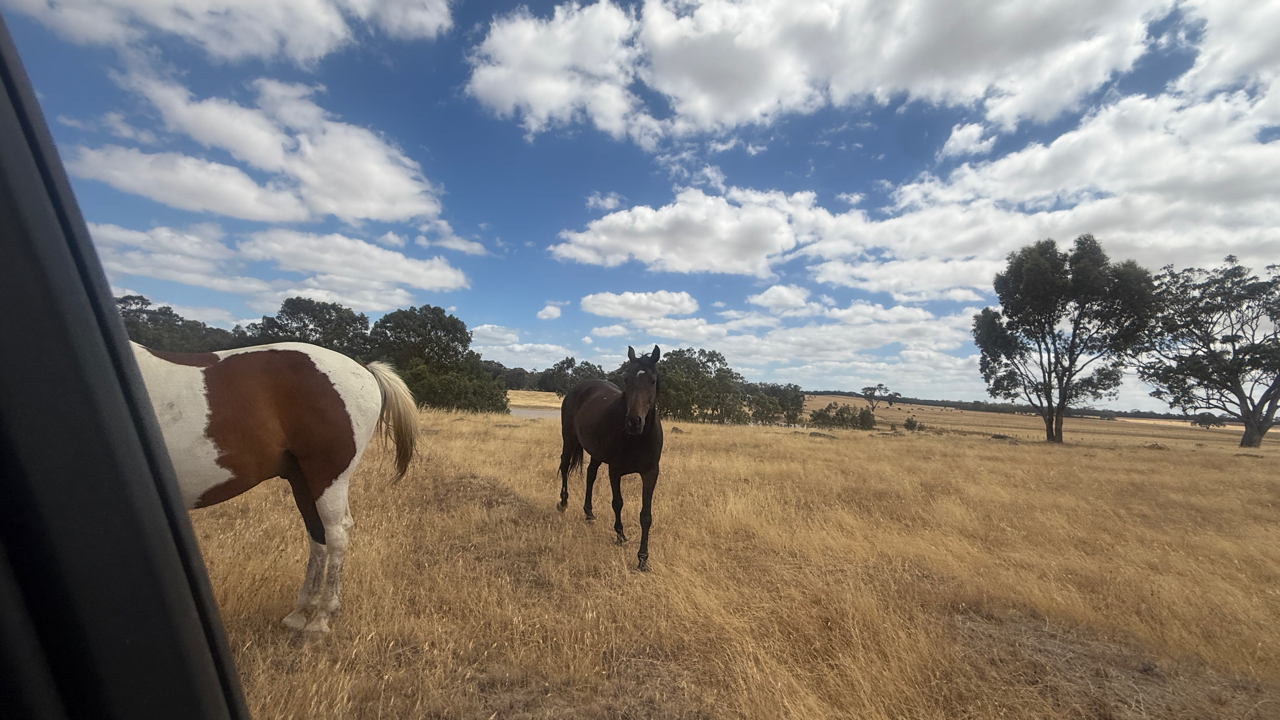 Land: Lot 1/3900 Ballarat - Maryborough Road, Clunes, VIC, 3370 photo-9