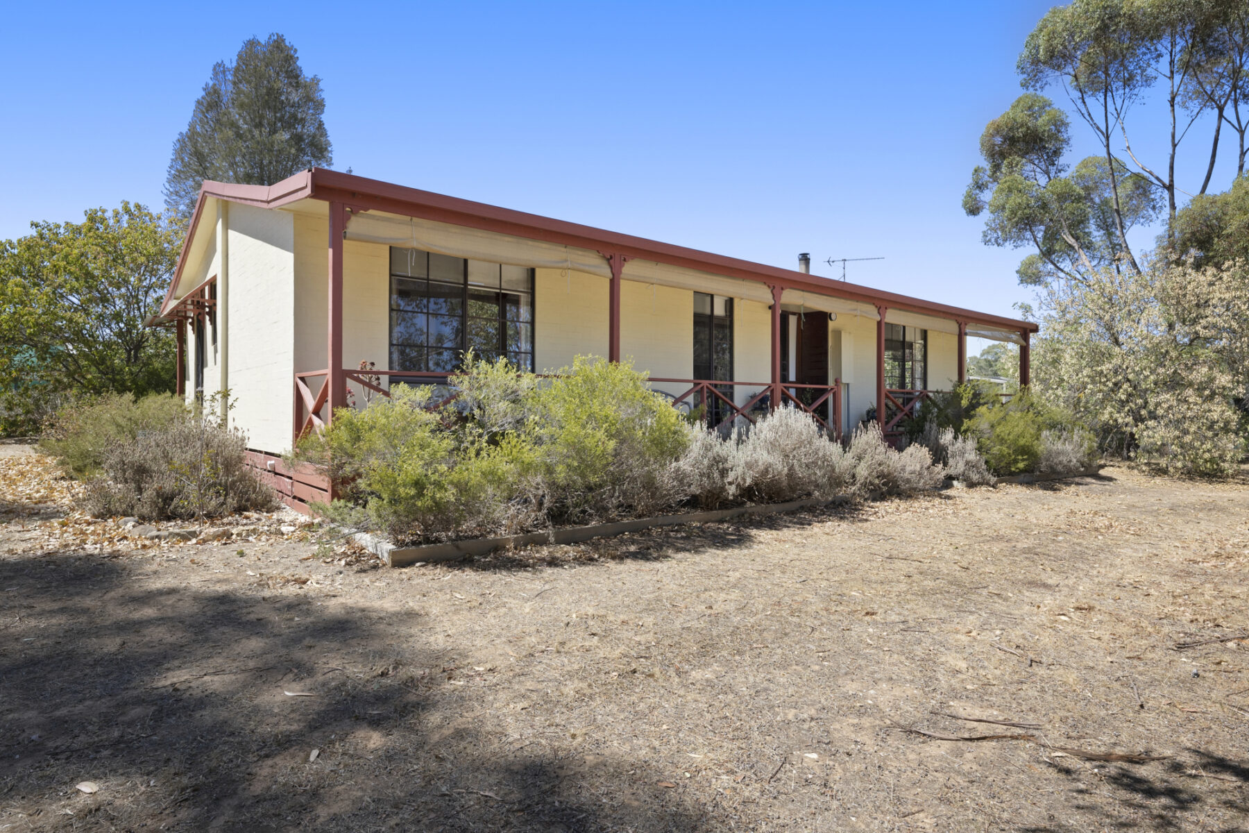 Property: 23 Marshall Lane, Avoca, VIC, 3467 photo-1