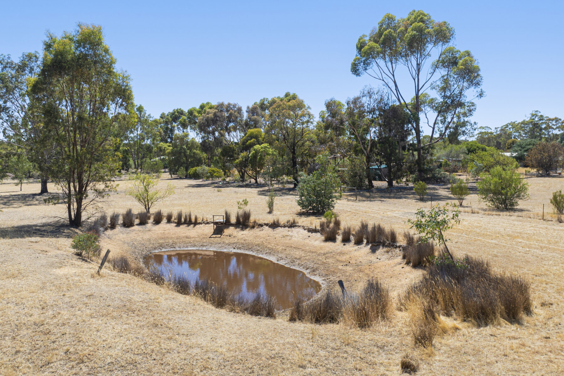 Property: 23 Marshall Lane, Avoca, VIC, 3467 photo-11