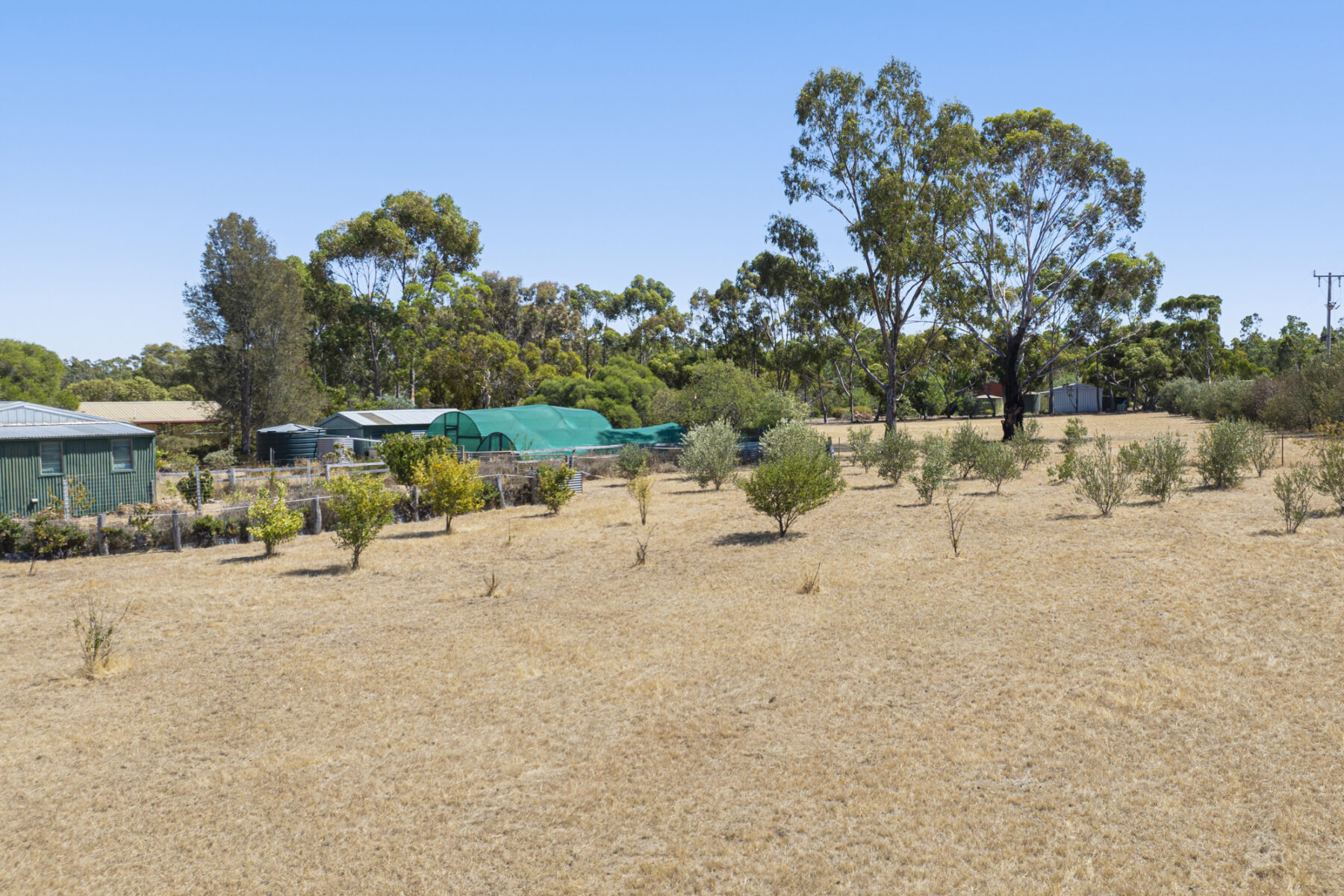 Property: 23 Marshall Lane, Avoca, VIC, 3467 photo-13