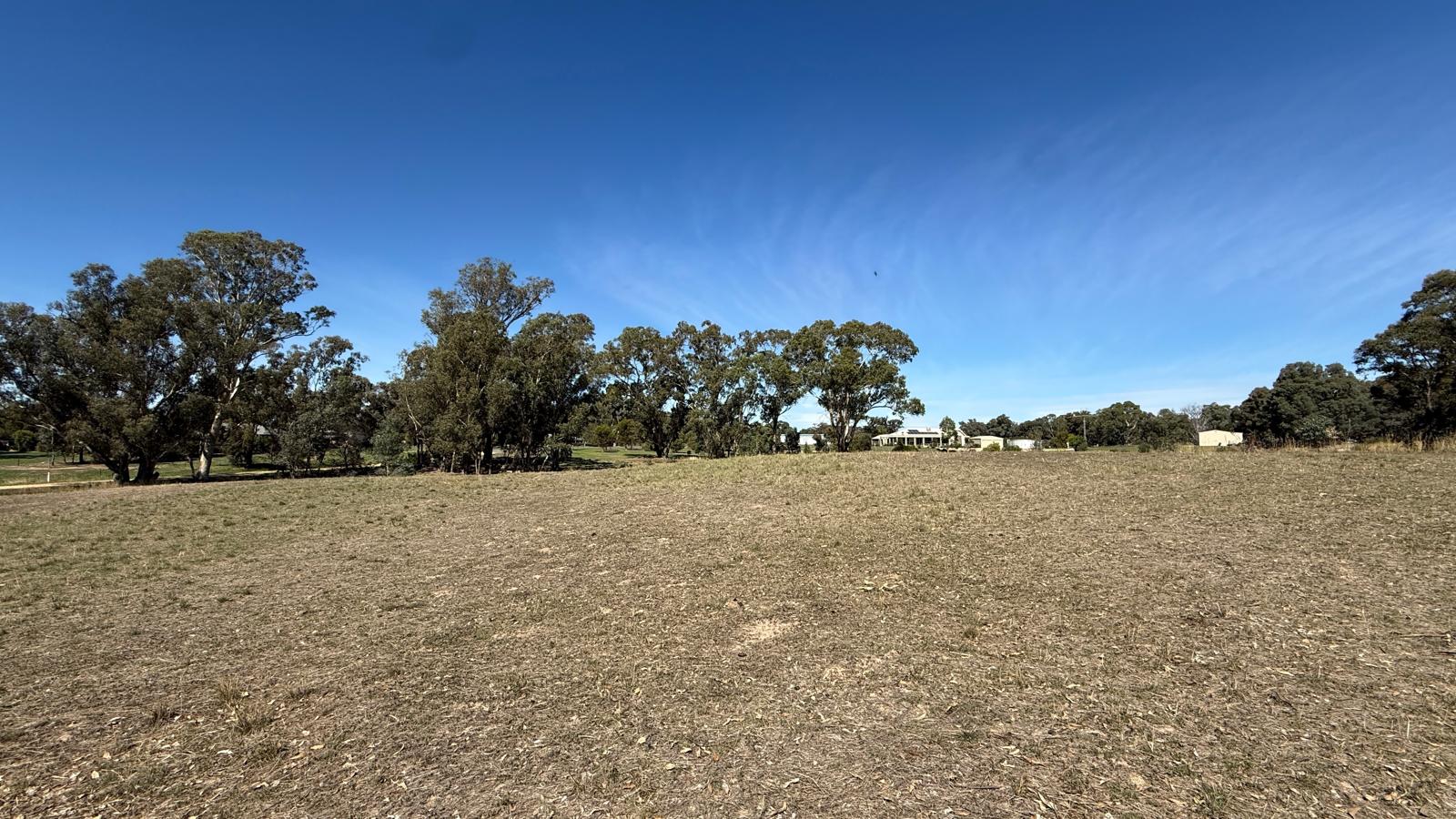 Land: 99 Orme Street, Avoca, VIC, 3467 photo-1