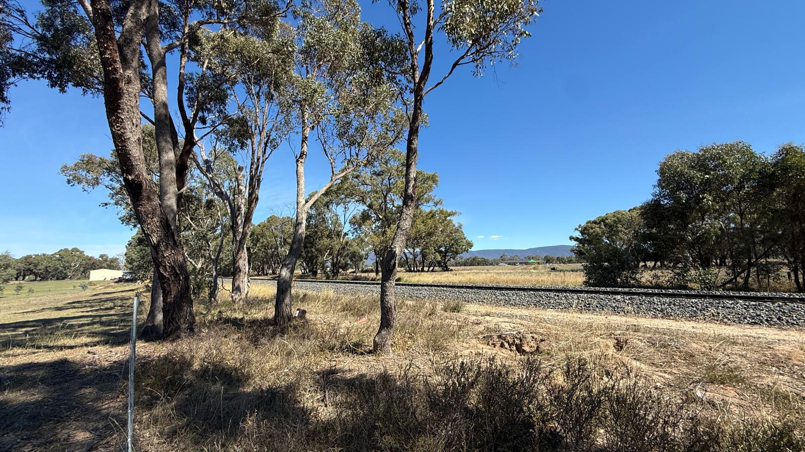 Land: 99 Orme Street, Avoca, VIC, 3467 photo-3