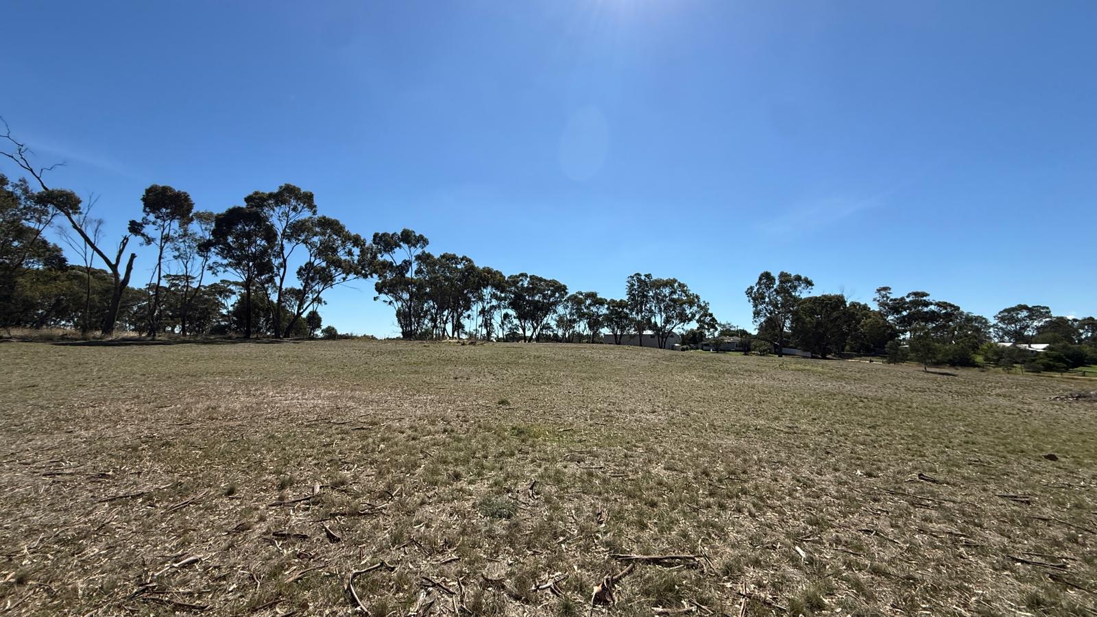 Land: 99 Orme Street, Avoca, VIC, 3467 photo-4