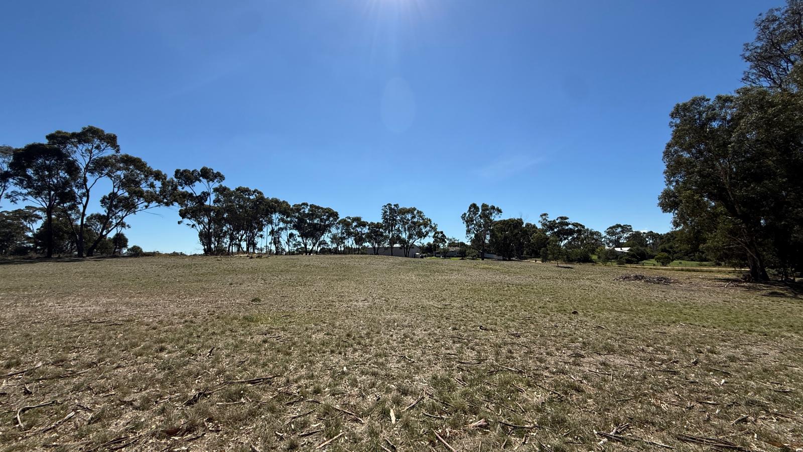 Land: 99 Orme Street, Avoca, VIC, 3467 photo-5