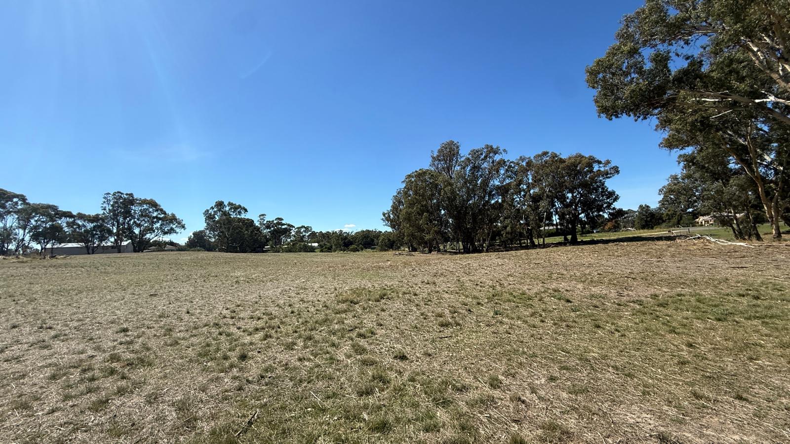 Land: 99 Orme Street, Avoca, VIC, 3467 photo-6