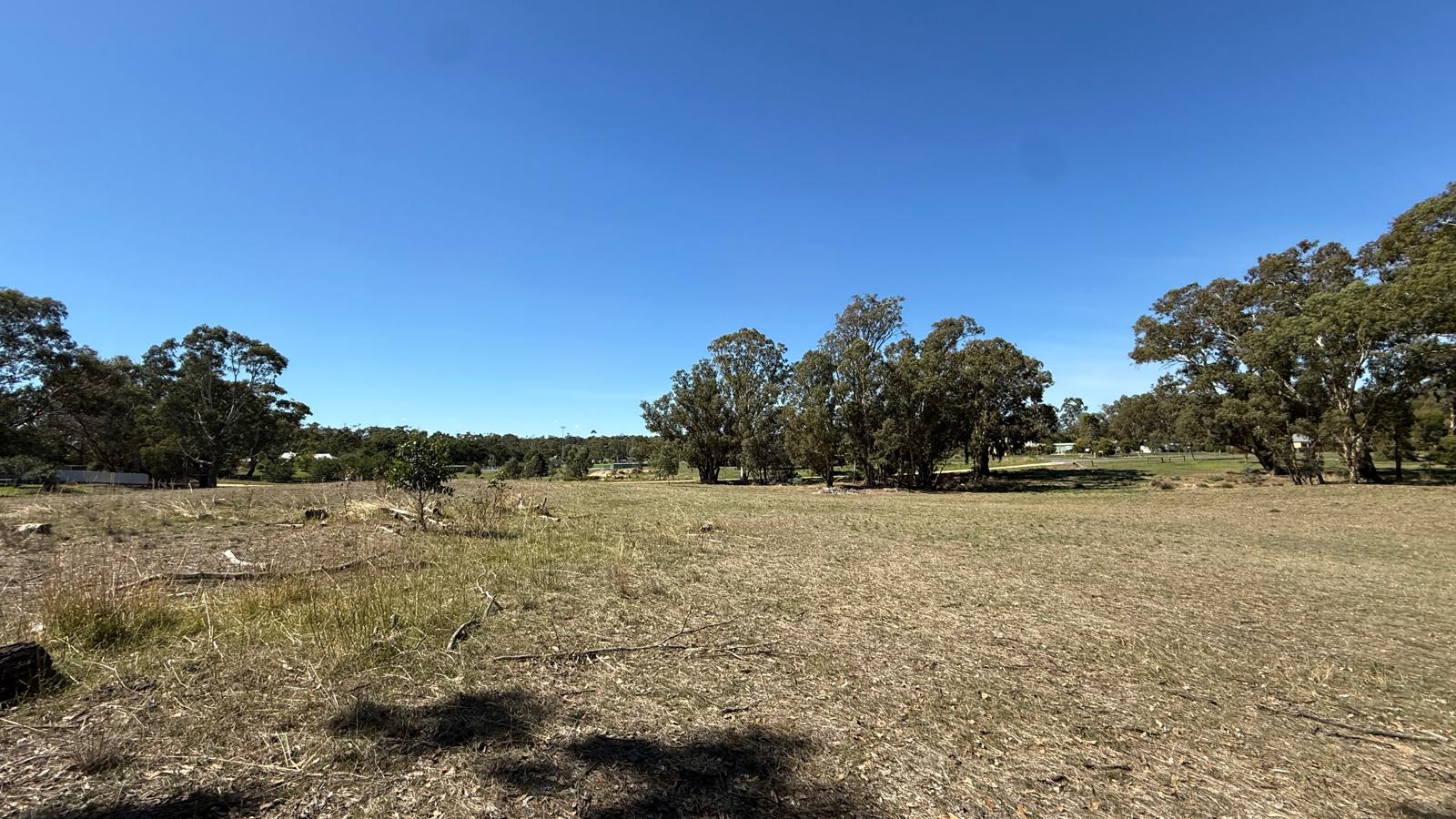 Land: 99 Orme Street, Avoca, VIC, 3467 photo-7