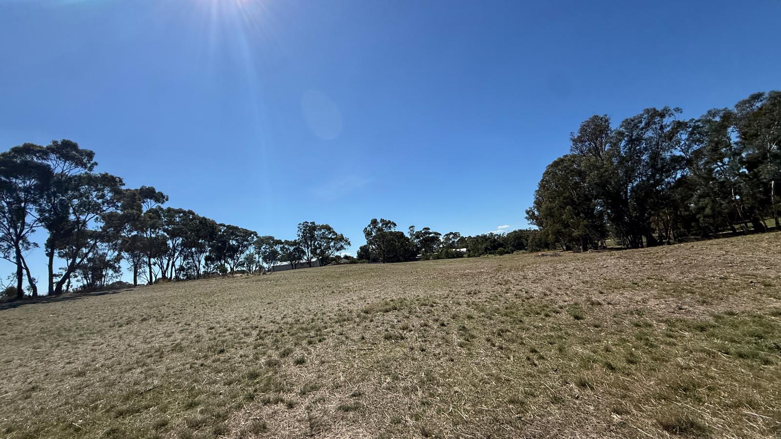 Land: 99 Orme Street, Avoca, VIC, 3467 photo-8