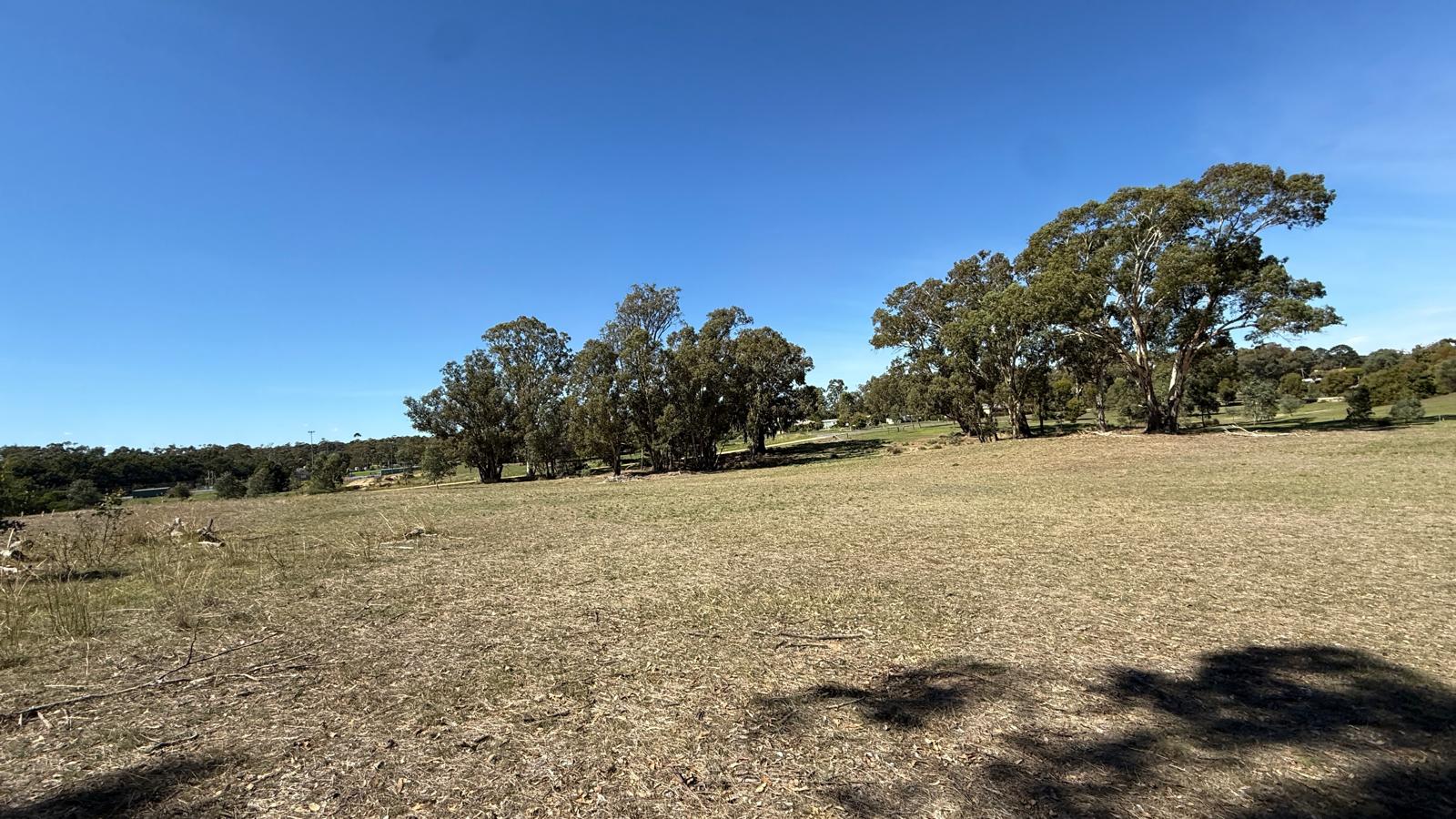 Land: 99 Orme Street, Avoca, VIC, 3467 photo-9