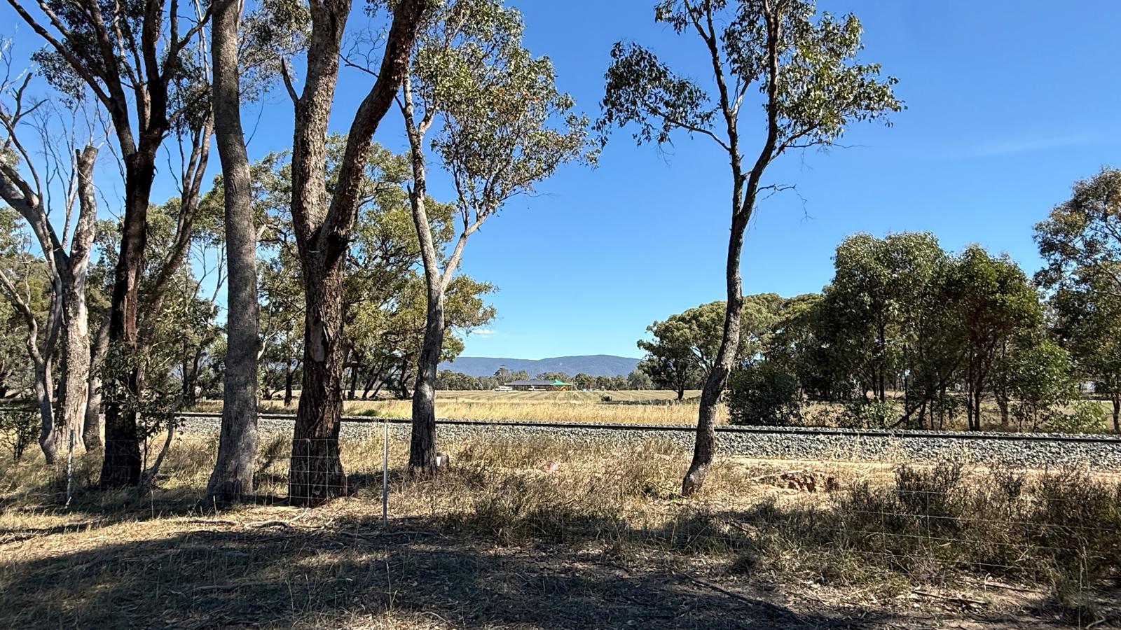 Land: 99 Orme Street, Avoca, VIC, 3467 photo-10