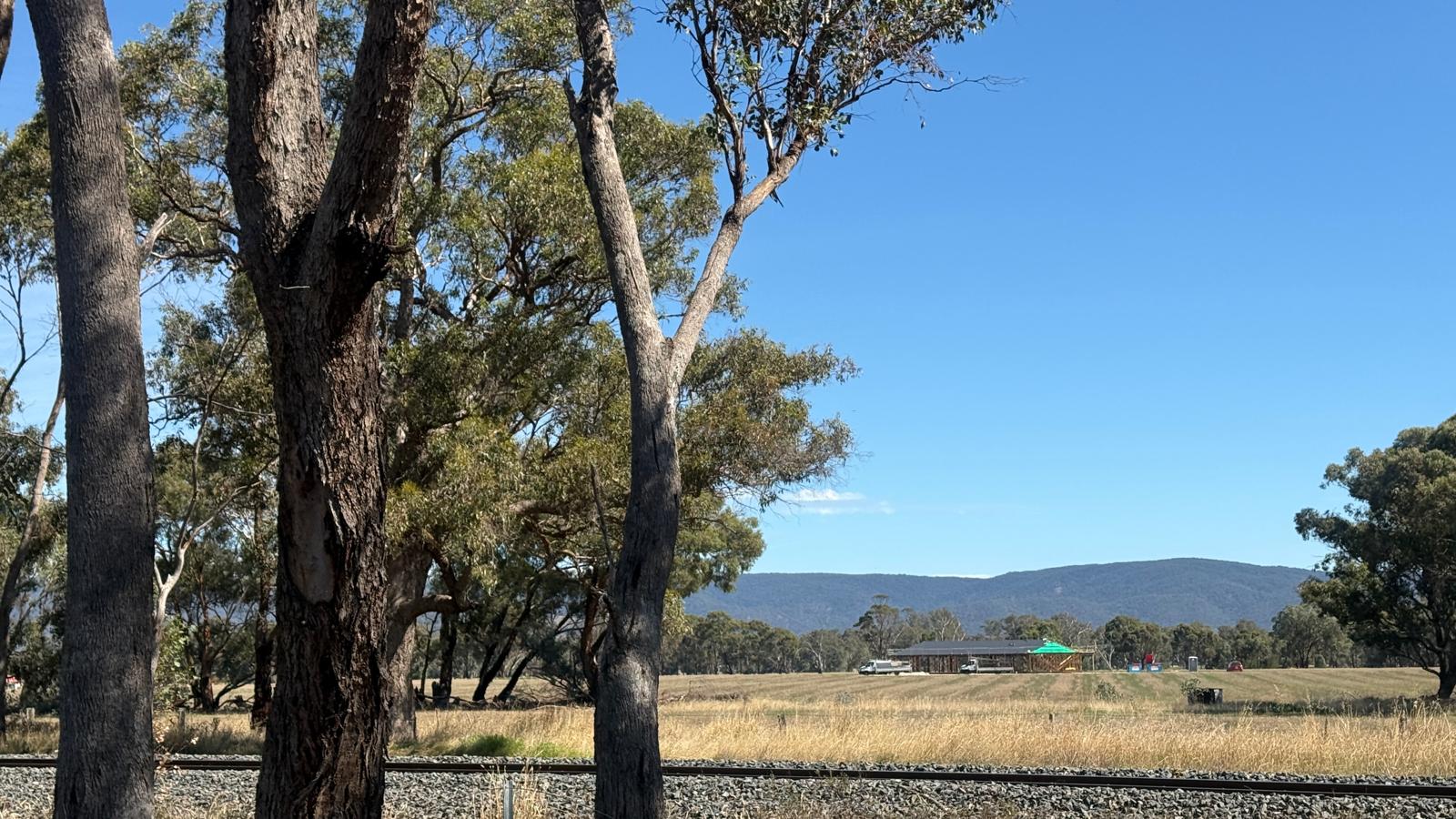 Land: 99 Orme Street, Avoca, VIC, 3467 photo-11
