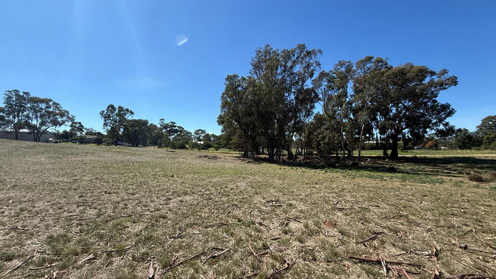 Land: 99 Orme Street, Avoca, VIC, 3467 photo-12