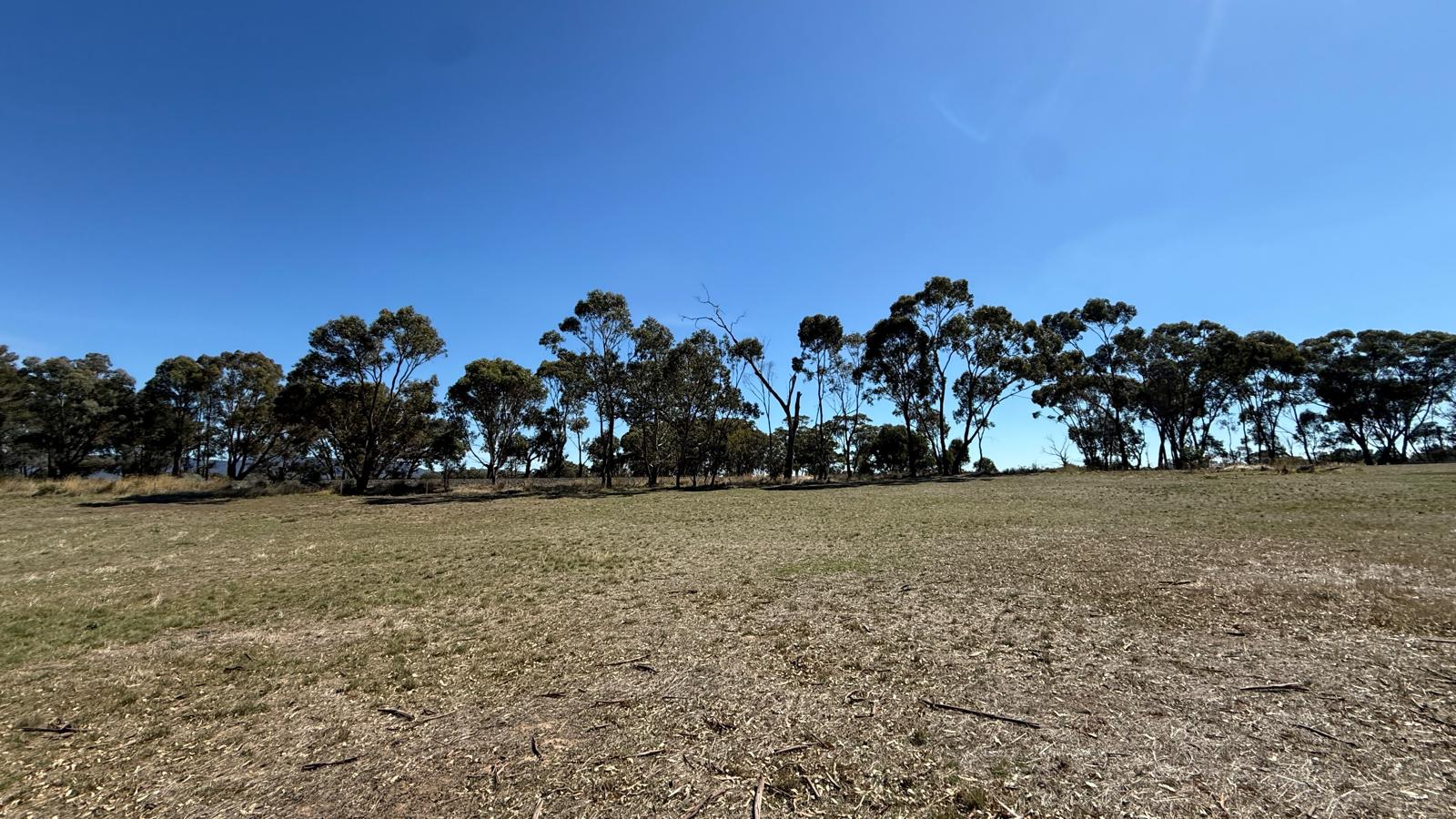 Land: 99 Orme Street, Avoca, VIC, 3467 photo-13