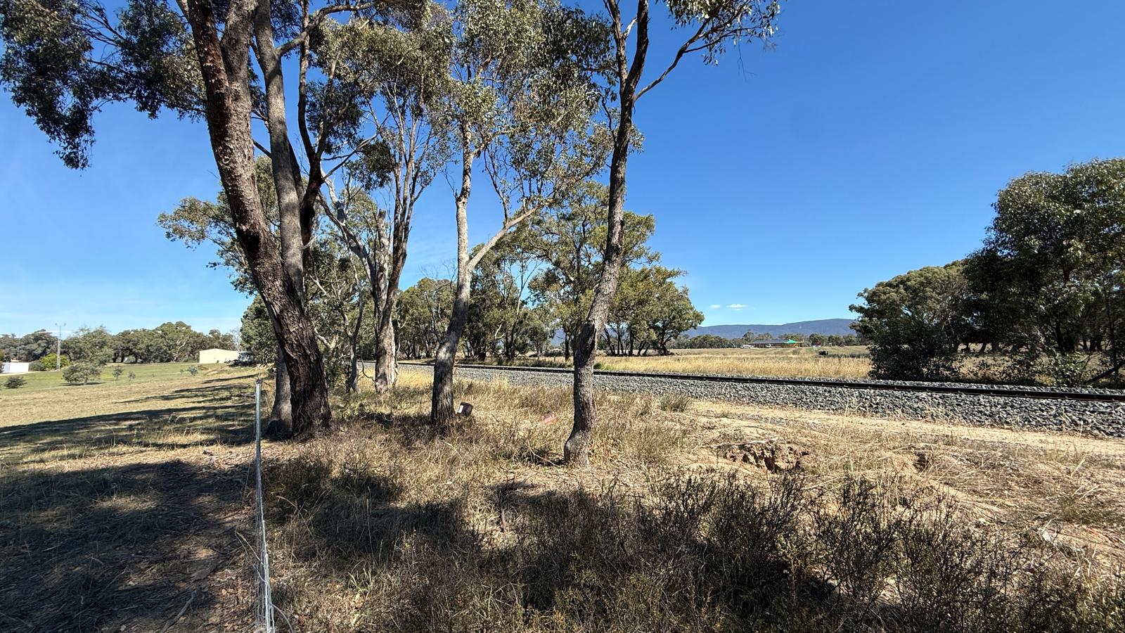 Land: 99 Orme Street, Avoca, VIC, 3467 photo-14