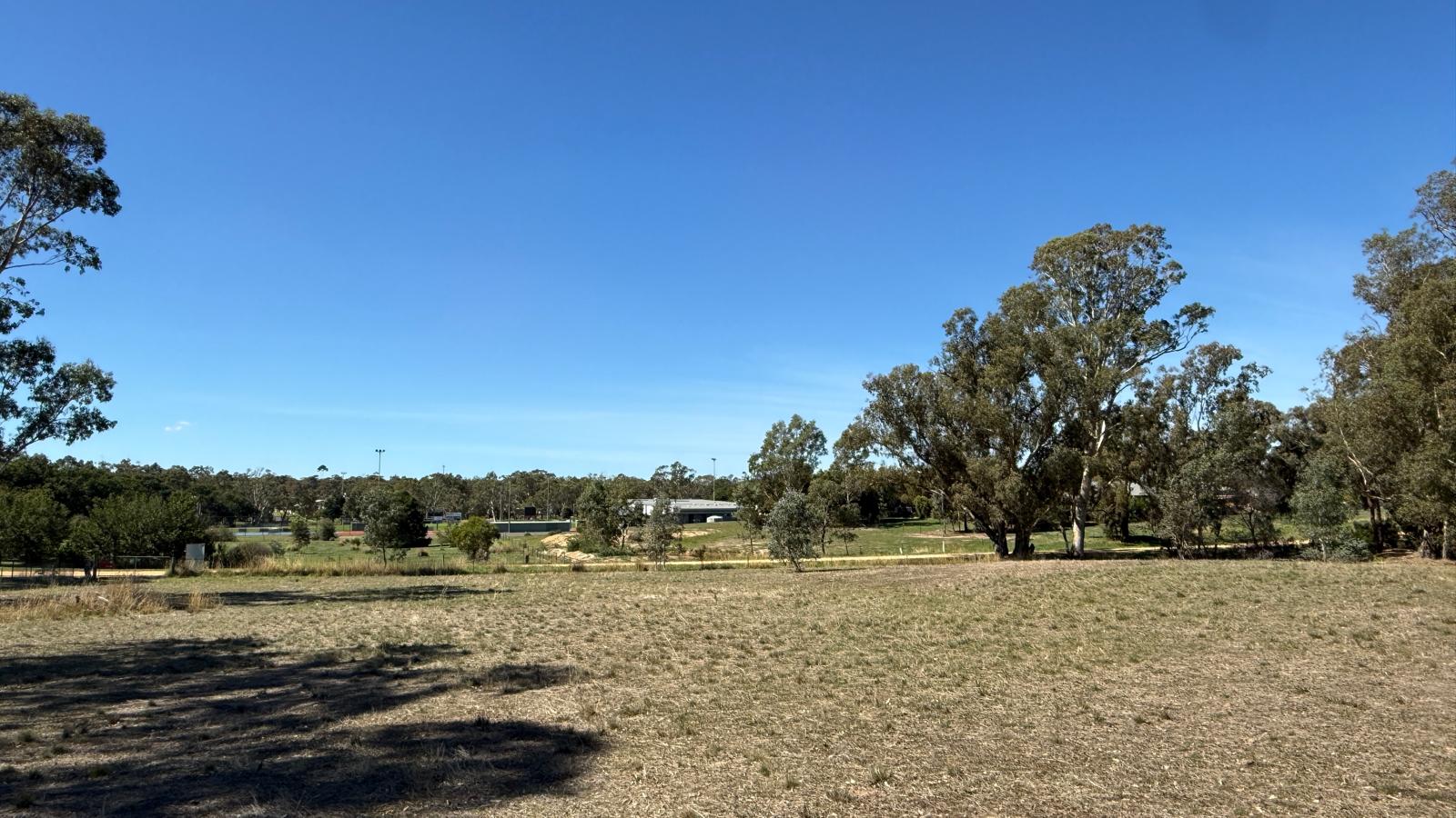 Land: 99 Orme Street, Avoca, VIC, 3467 photo-15