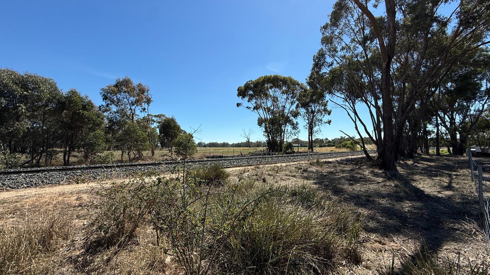 Land: 99 Orme Street, Avoca, VIC, 3467 photo-16