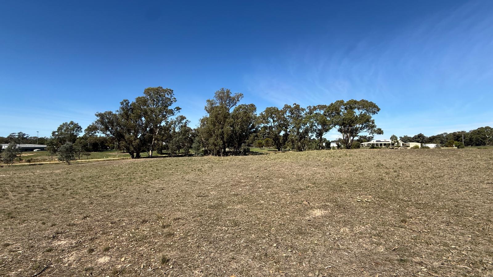 Land: 99 Orme Street, Avoca, VIC, 3467 photo-17