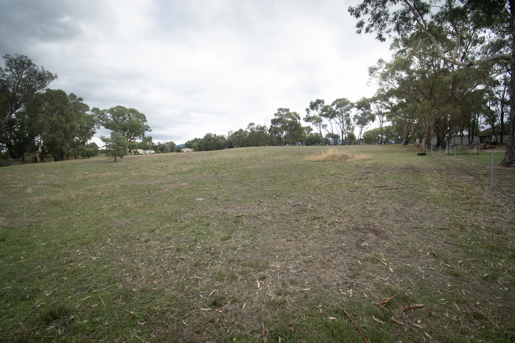 Land: 99 Orme Street, Avoca, VIC, 3467 photo-18