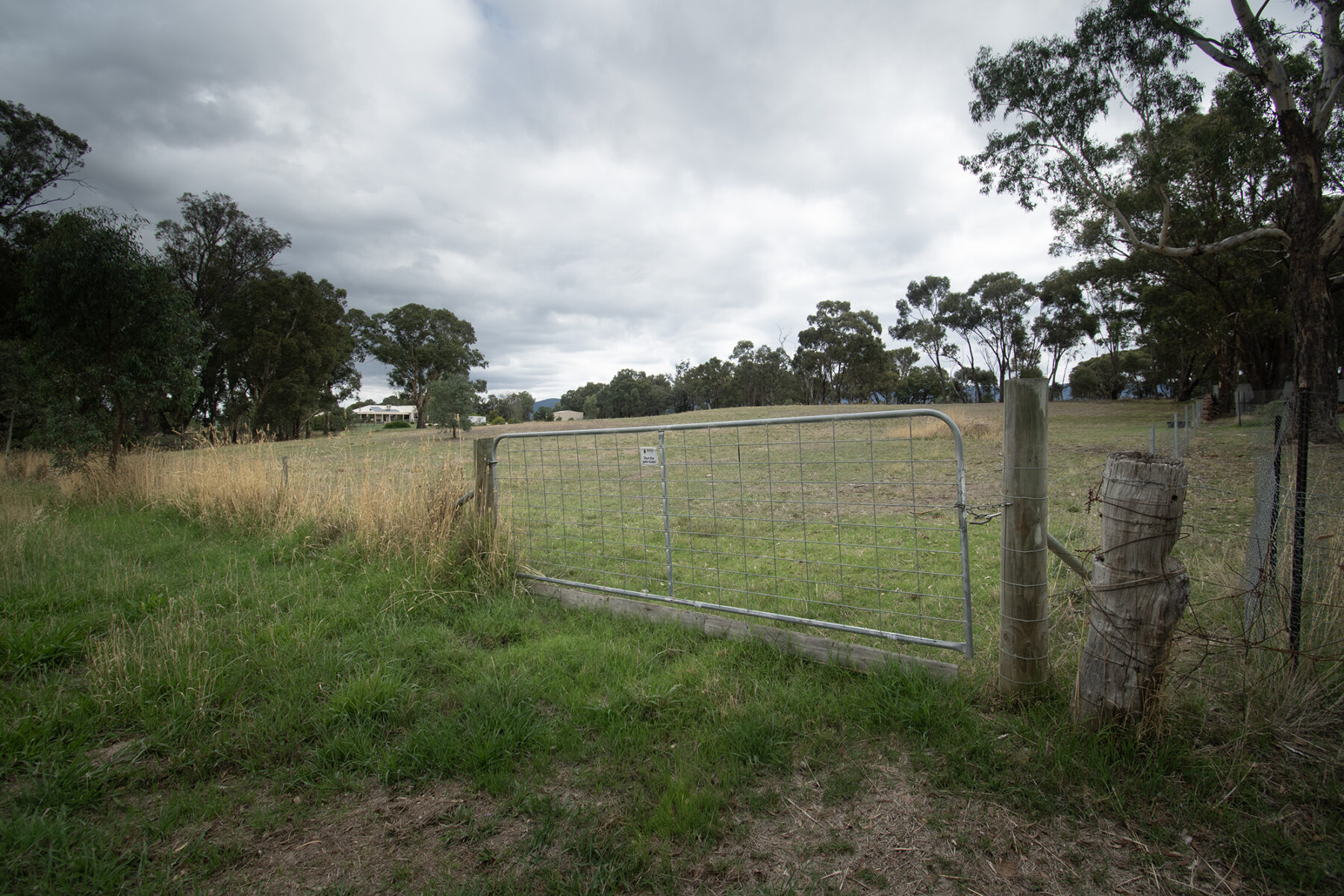 Land: 99 Orme Street, Avoca, VIC, 3467 photo-19
