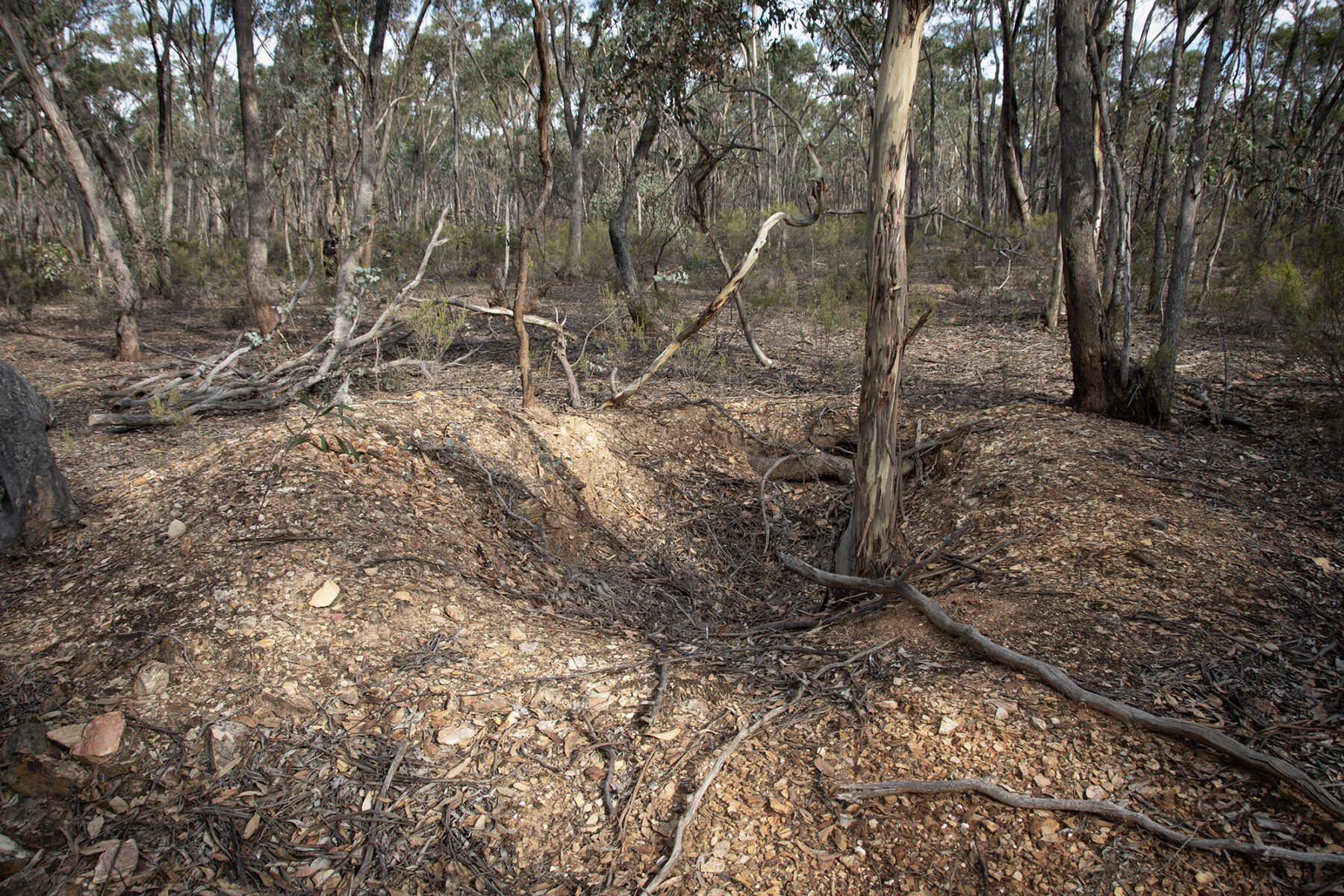 Land: CA 4, Sec 6/Part of 639 Maryborough-Dunolly Road, Havelock, VIC, 3465 photo-1