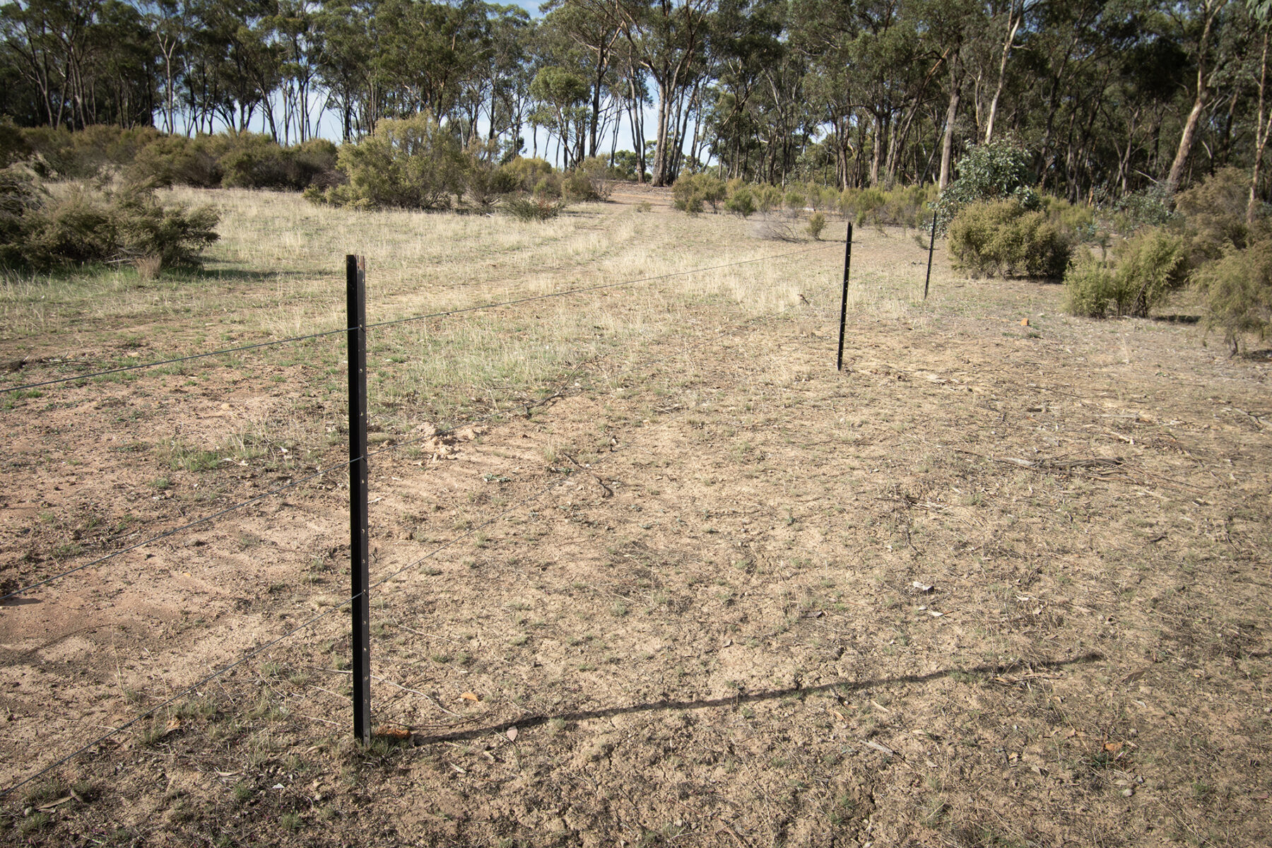 Land: CA 4, Sec 6/Part of 639 Maryborough-Dunolly Road, Havelock, VIC, 3465 photo-5