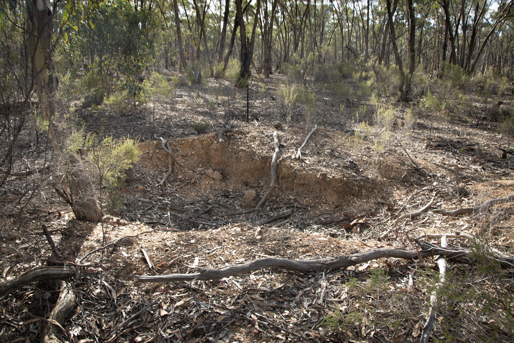 Land: CA 4, Sec 6/Part of 639 Maryborough-Dunolly Road, Havelock, VIC, 3465 photo-6