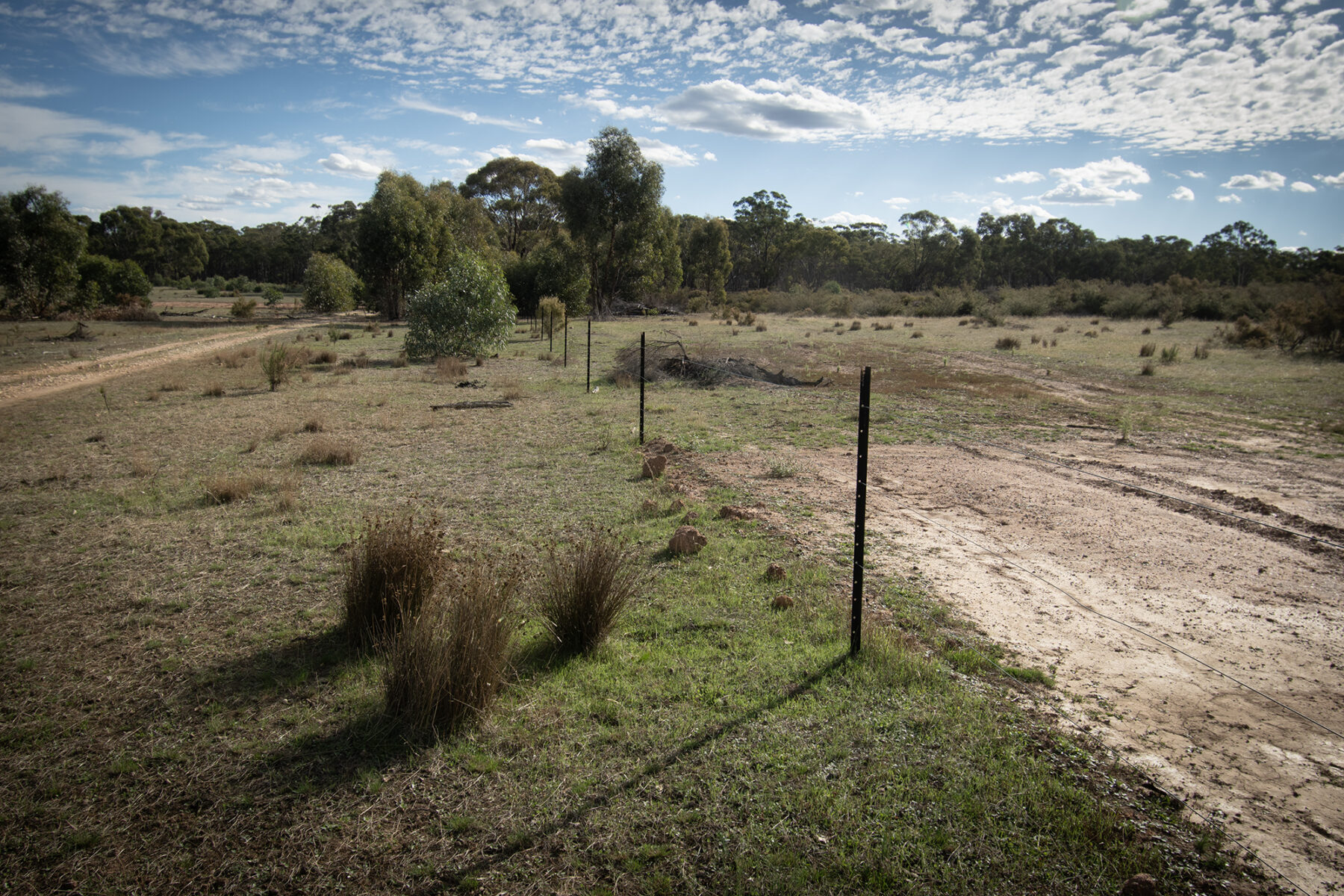 Land: CA 4, Sec 6/Part of 639 Maryborough-Dunolly Road, Havelock, VIC, 3465 photo-7