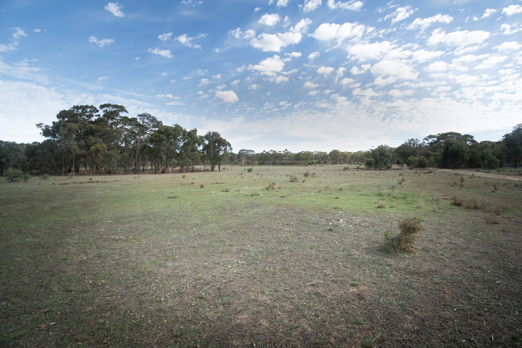 Land: CA 4, Sec 6/Part of 639 Maryborough-Dunolly Road, Havelock, VIC, 3465 photo-11