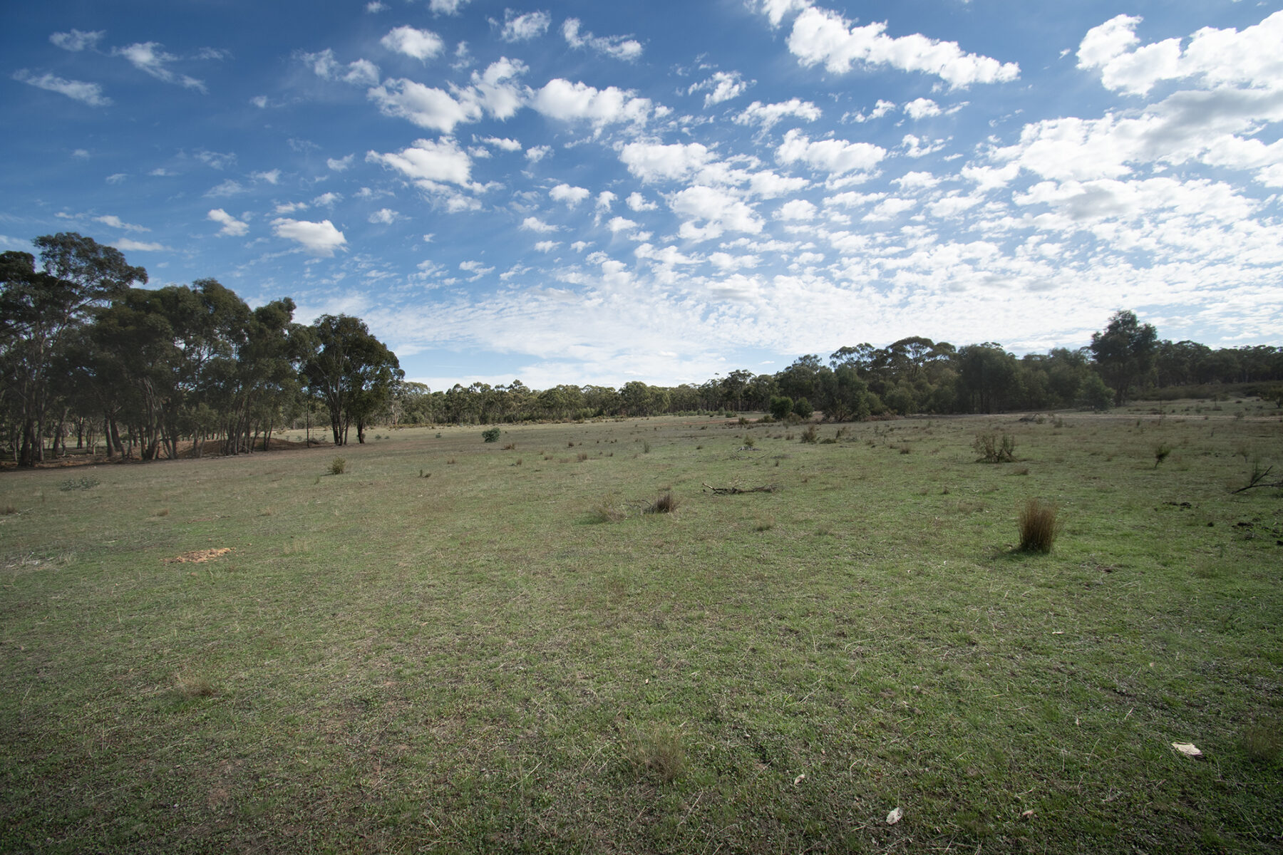 Land: CA 4, Sec 6/Part of 639 Maryborough-Dunolly Road, Havelock, VIC, 3465 photo-12