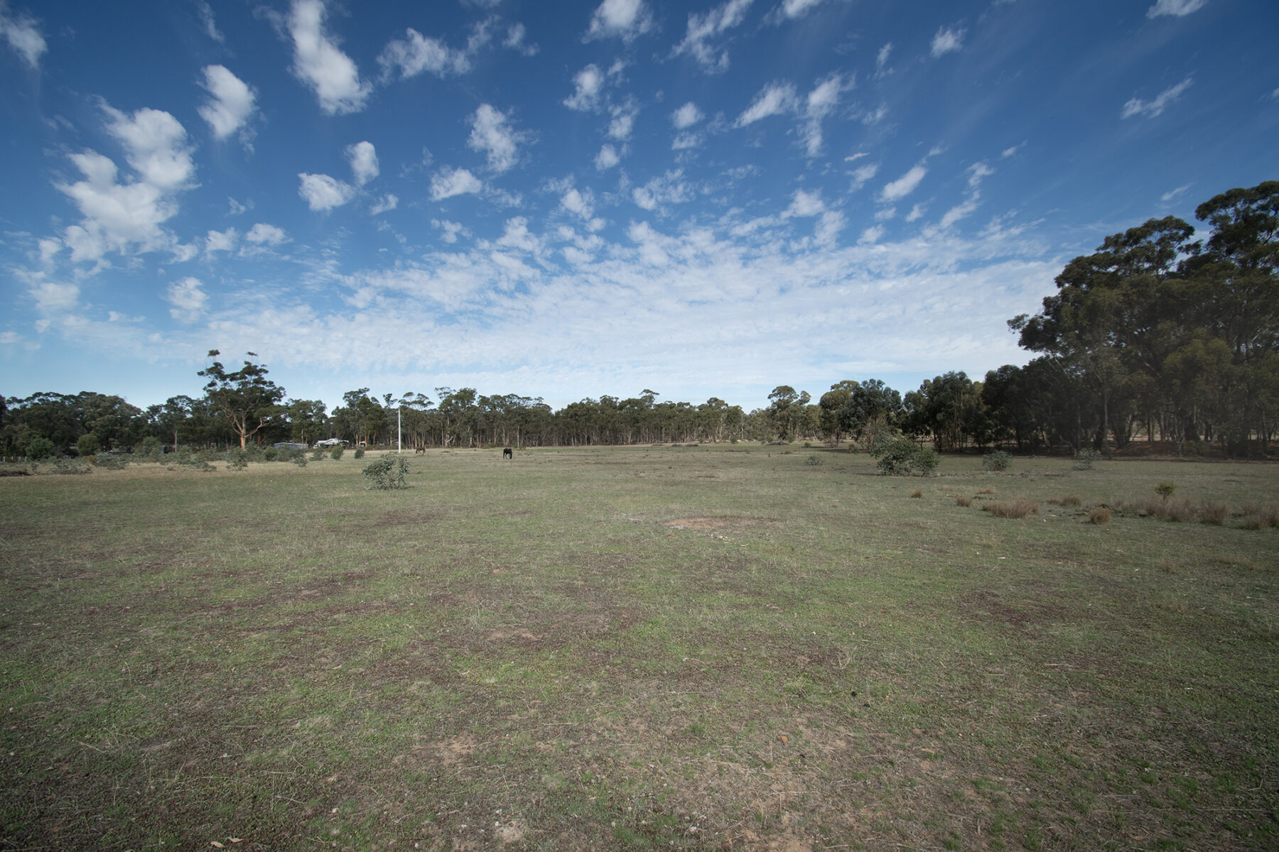 Land: CA 4, Sec 6/Part of 639 Maryborough-Dunolly Road, Havelock, VIC, 3465 photo-13