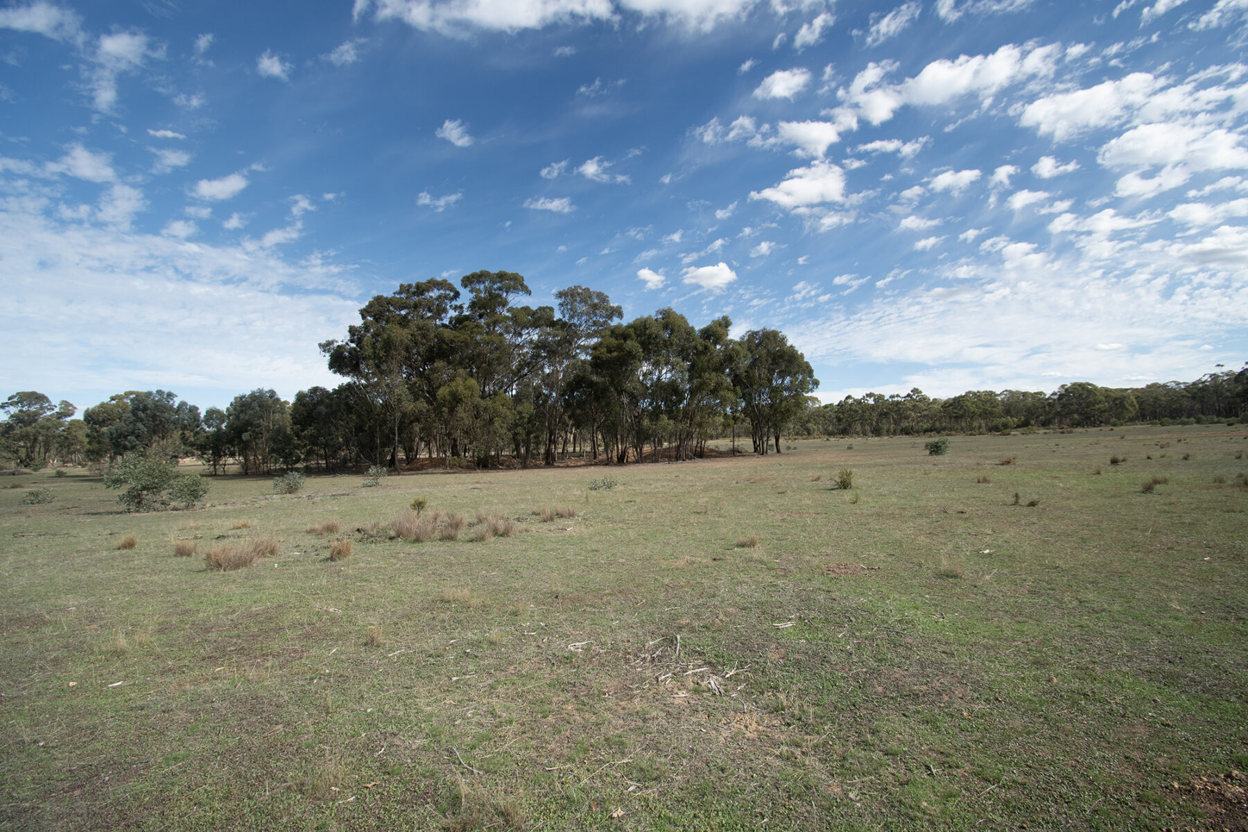 Land: CA 4, Sec 6/Part of 639 Maryborough-Dunolly Road, Havelock, VIC, 3465 photo-14