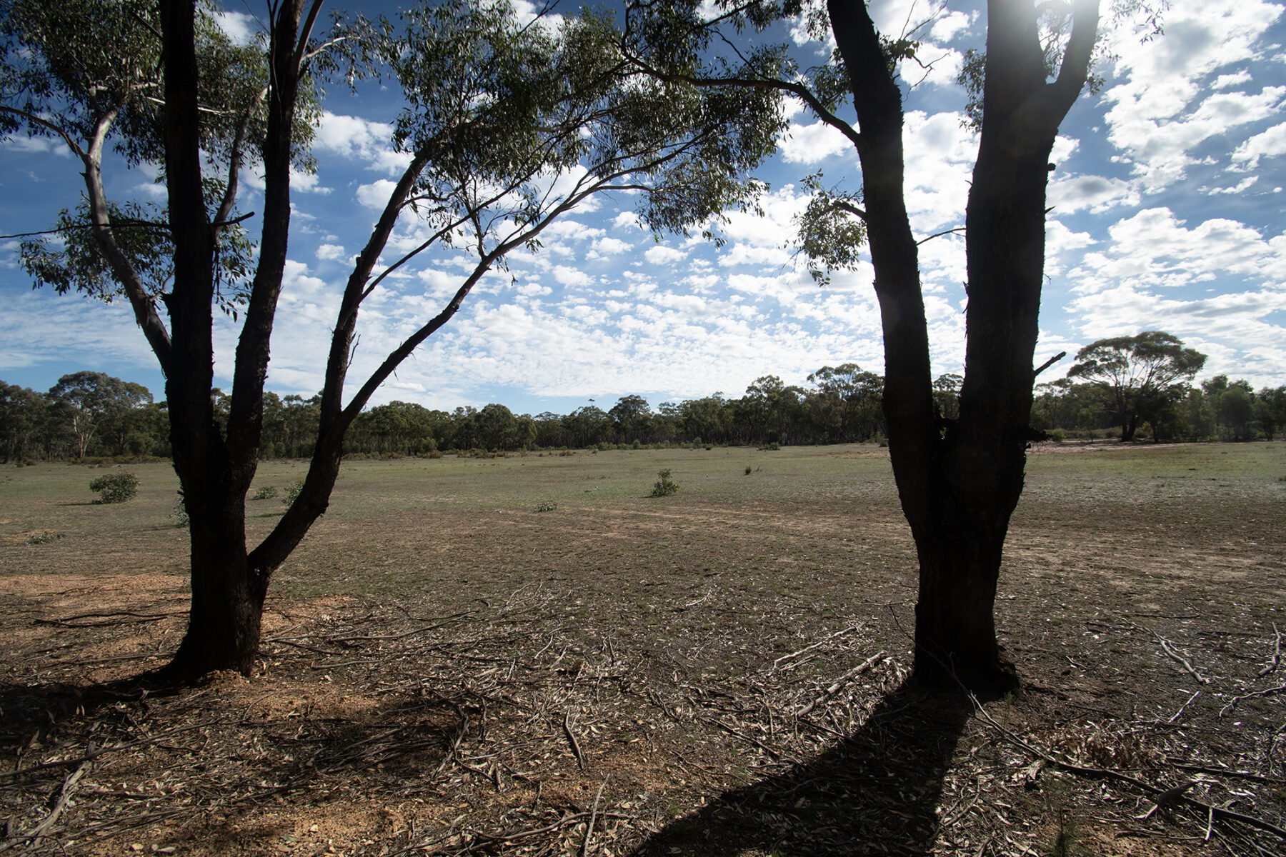 Land: CA 4, Sec 6/Part of 639 Maryborough-Dunolly Road, Havelock, VIC, 3465 photo-15