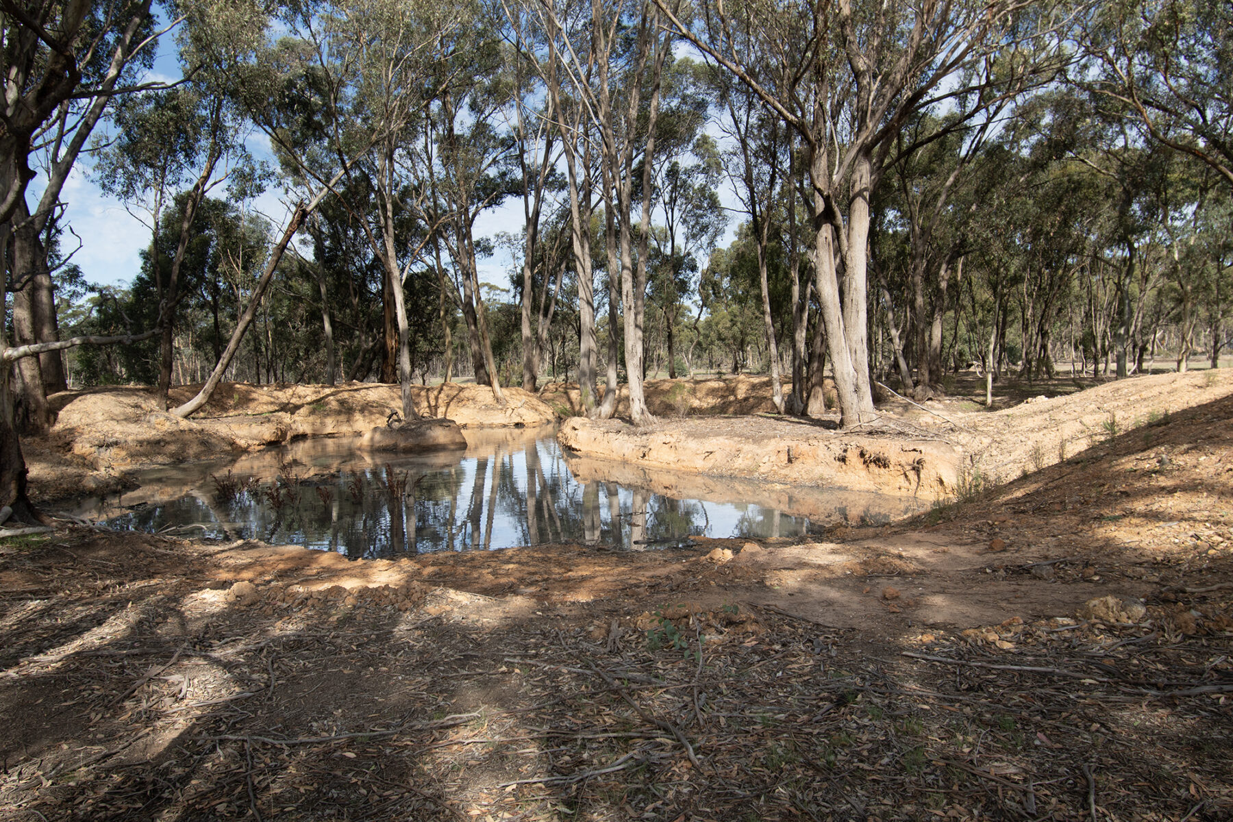 Land: CA 4, Sec 6/Part of 639 Maryborough-Dunolly Road, Havelock, VIC, 3465 photo-18