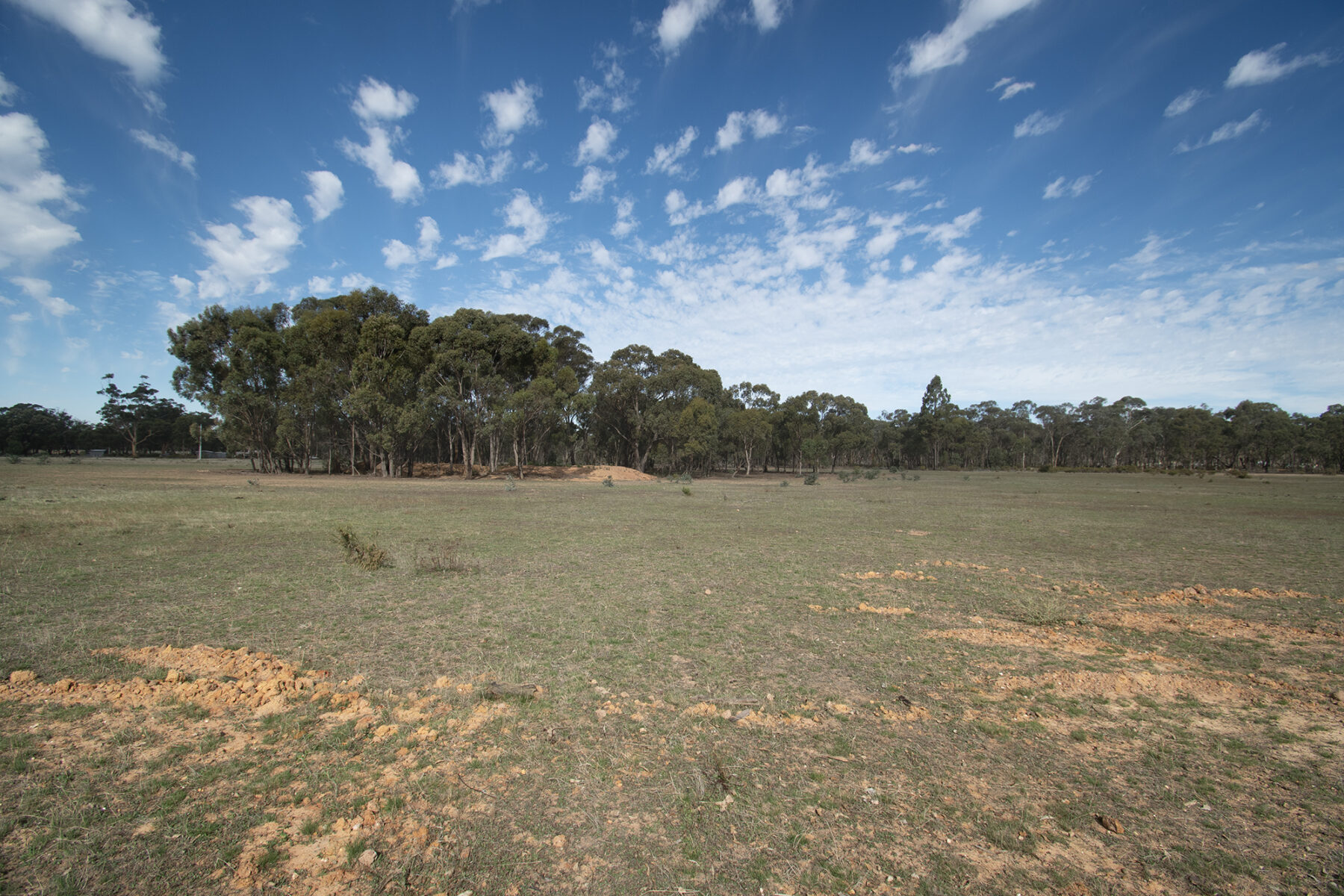 Land: CA 4, Sec 6/Part of 639 Maryborough-Dunolly Road, Havelock, VIC, 3465 photo-19
