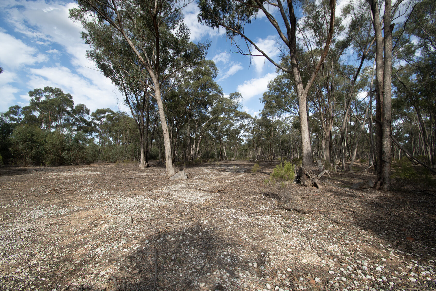 Land: CA 4, Sec 6/Part of 639 Maryborough-Dunolly Road, Havelock, VIC, 3465 photo-30