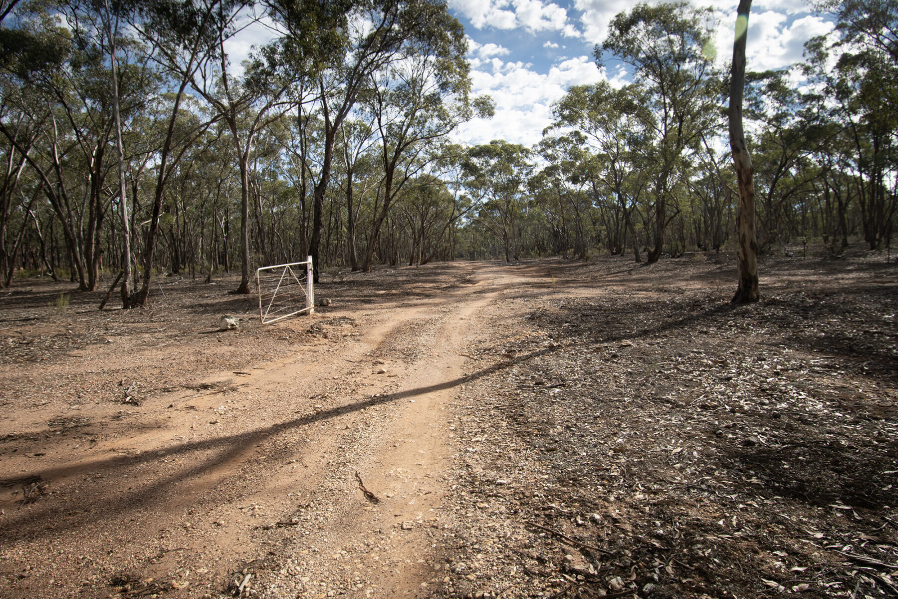 Land: CA 4, Sec 6/Part of 639 Maryborough-Dunolly Road, Havelock, VIC, 3465 photo-31