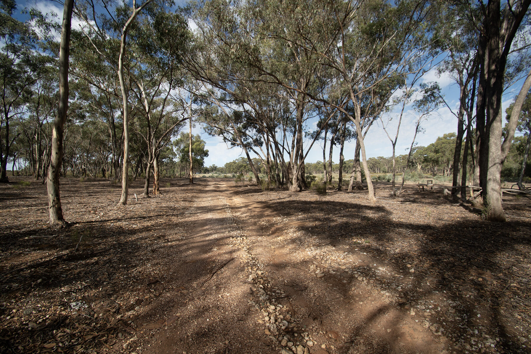 Land: CA 4, Sec 6/Part of 639 Maryborough-Dunolly Road, Havelock, VIC, 3465 photo-32