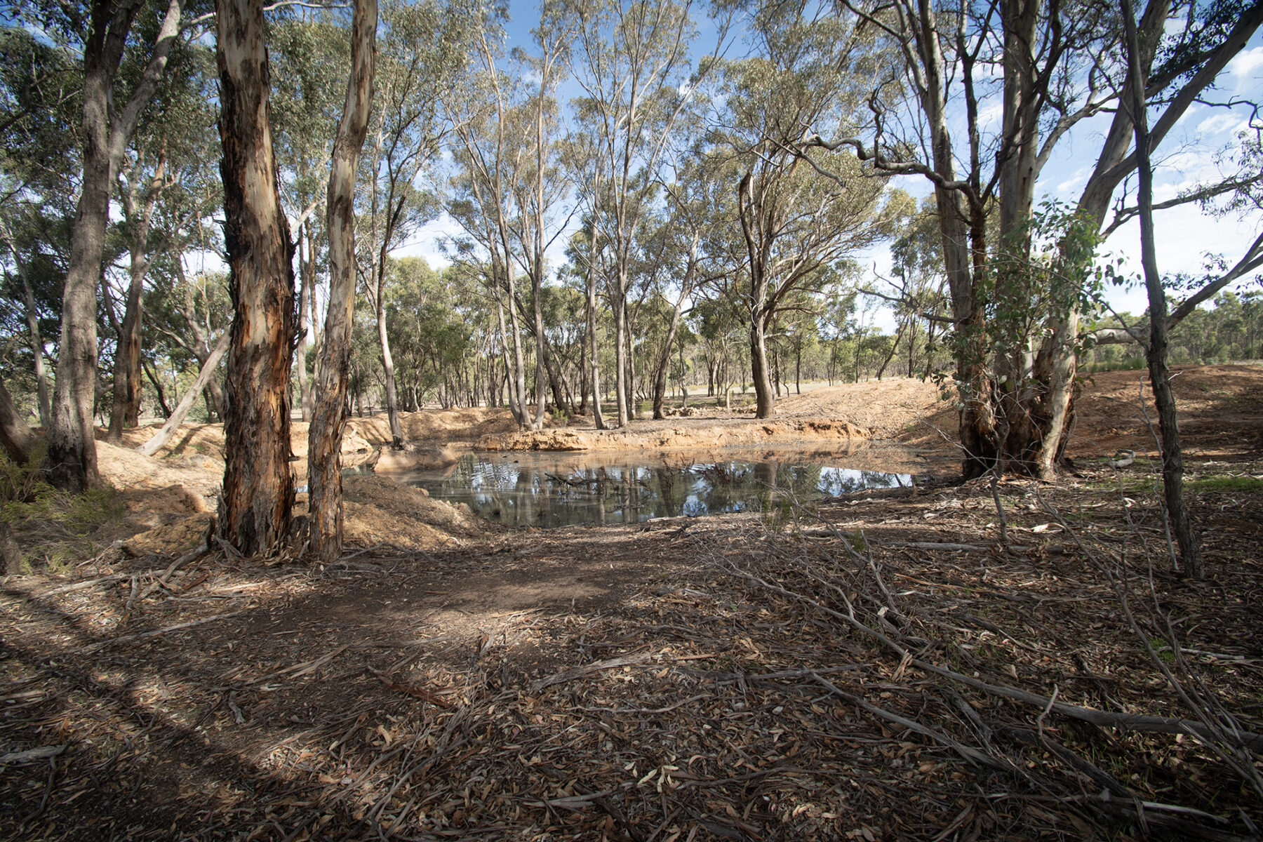 Land: CA 4, Sec 6/Part of 639 Maryborough-Dunolly Road, Havelock, VIC, 3465 photo-33