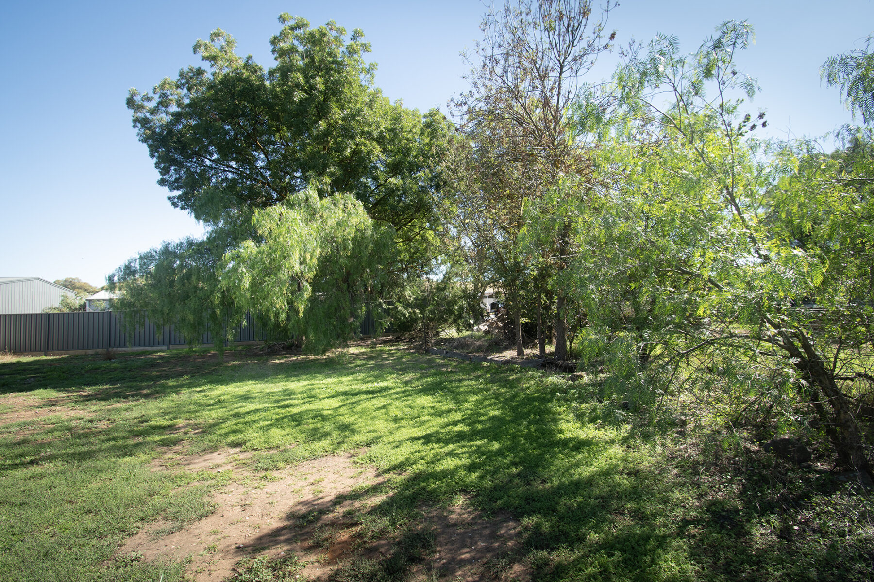 Land: 9 Hall Street, Carisbrook, VIC, 3464 photo-6