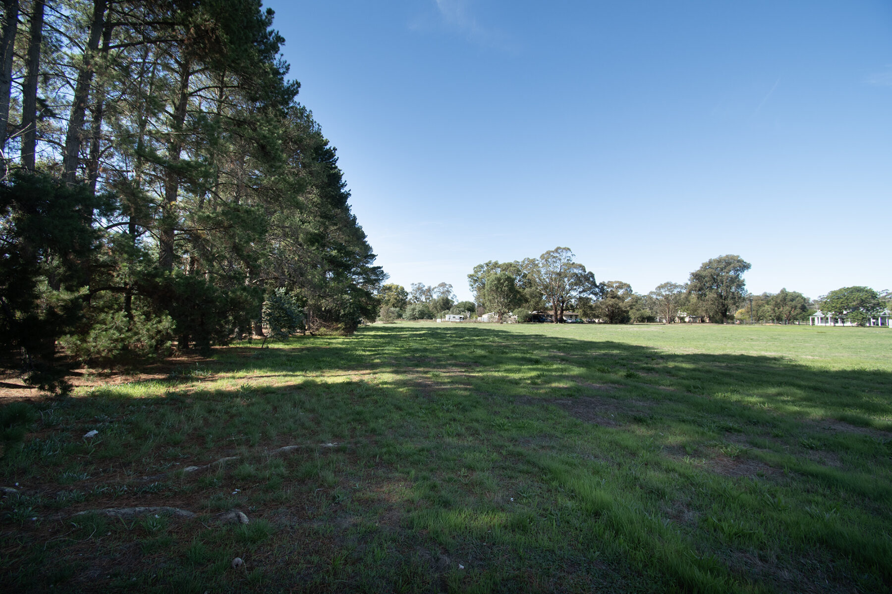 Land: COMING SOON - 104 Barkly Street, Dunolly, VIC, 3472 photo-7