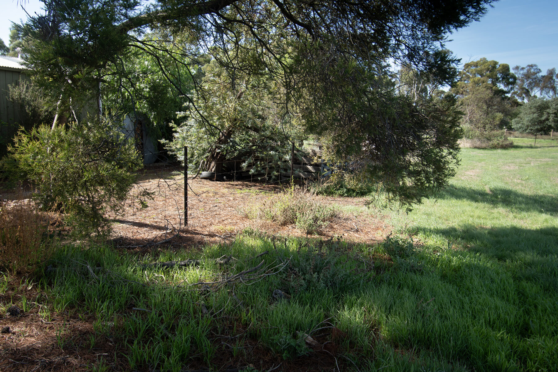 Land: COMING SOON - 104 Barkly Street, Dunolly, VIC, 3472 photo-9